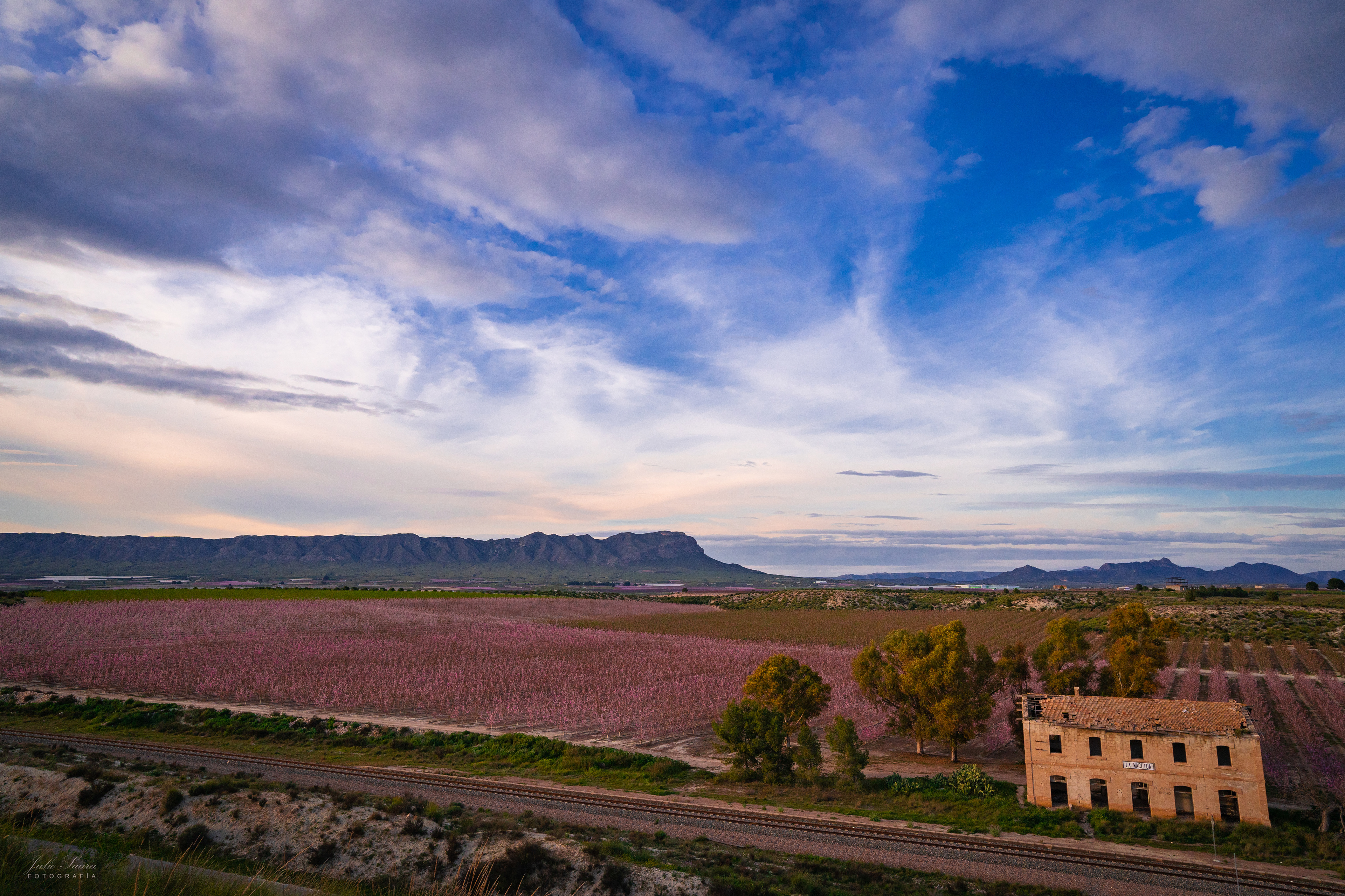 La Macetúa, Cieza, Región de Murcia