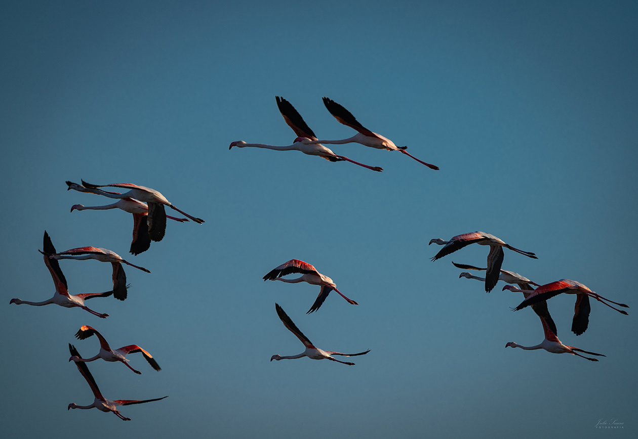 Salinas de Marchamalo