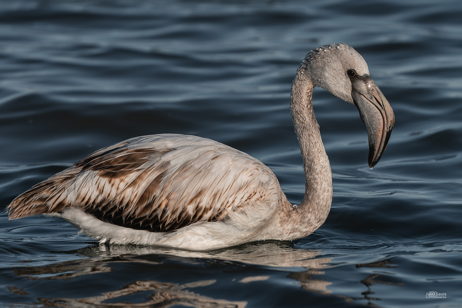 Salinas de San Pedro