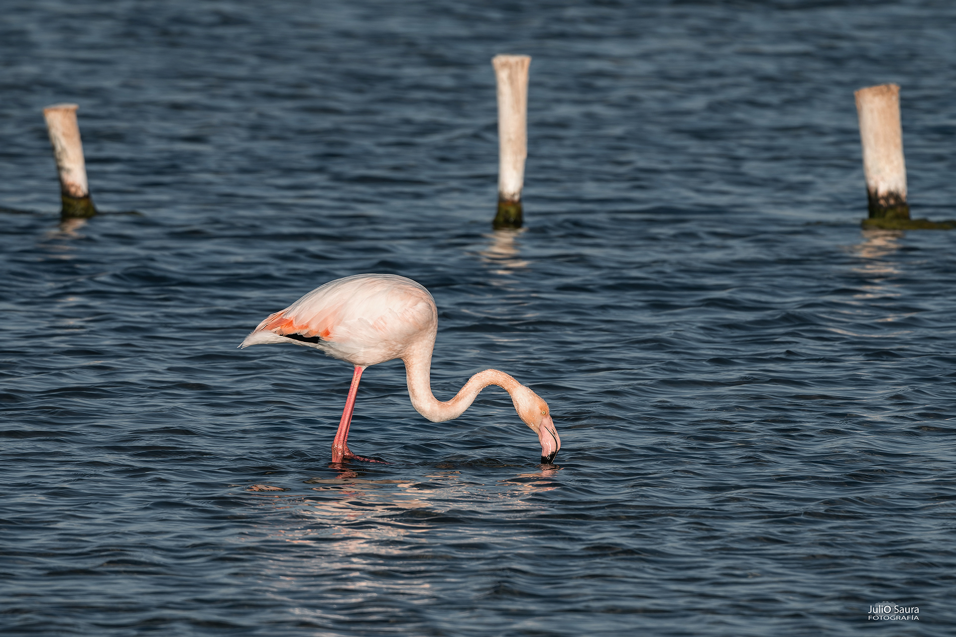 Salinas de San Pedro