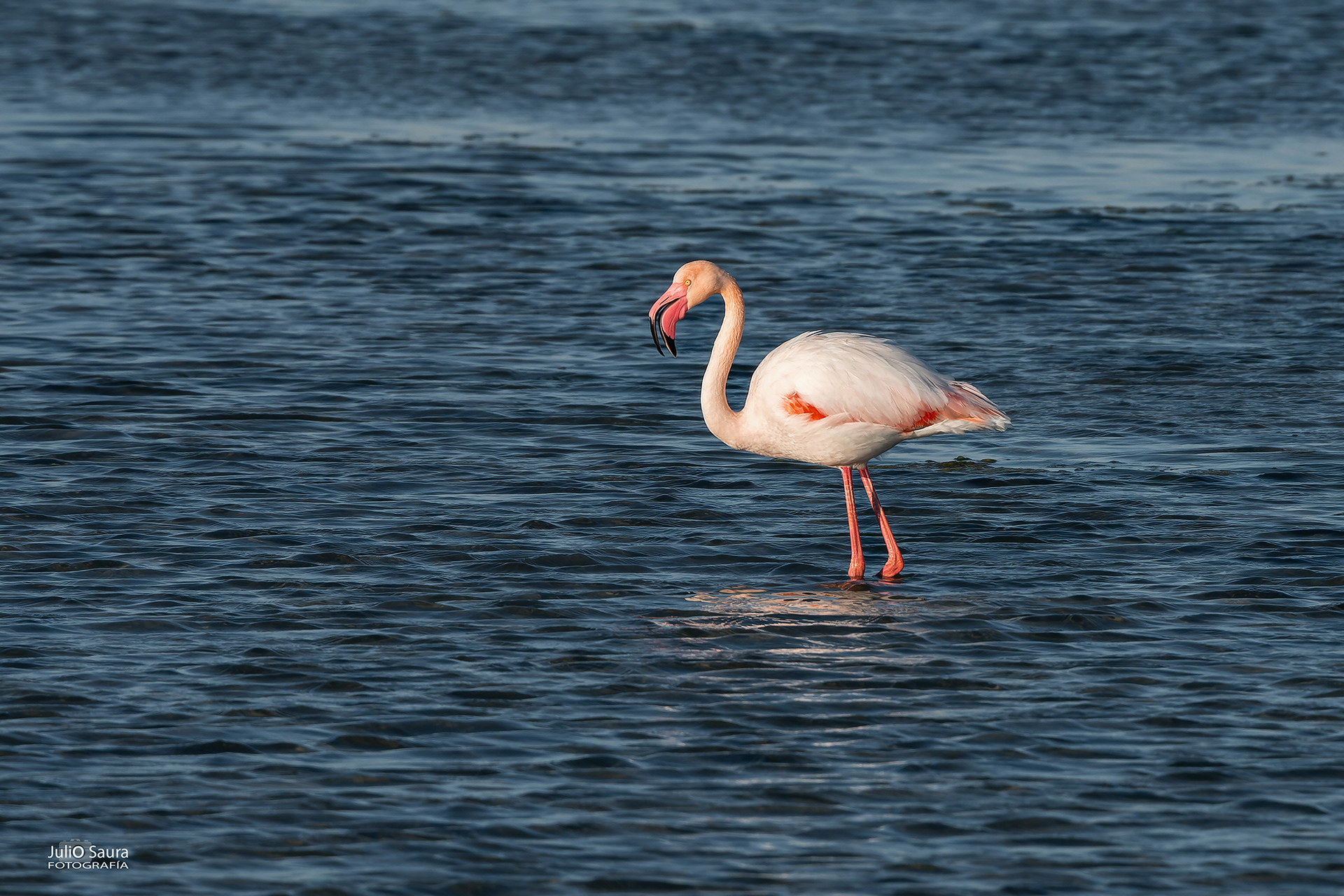 Salinas de San Pedro