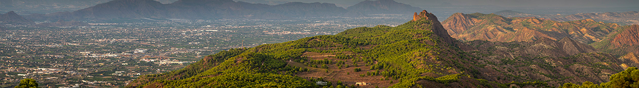 Cresta del Gallo y Vega del Segura. Panorámica