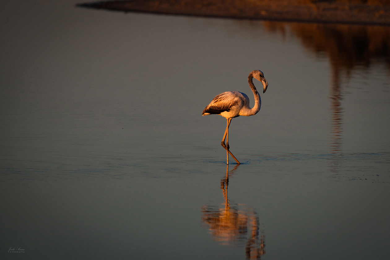 Salinas de San Pedro