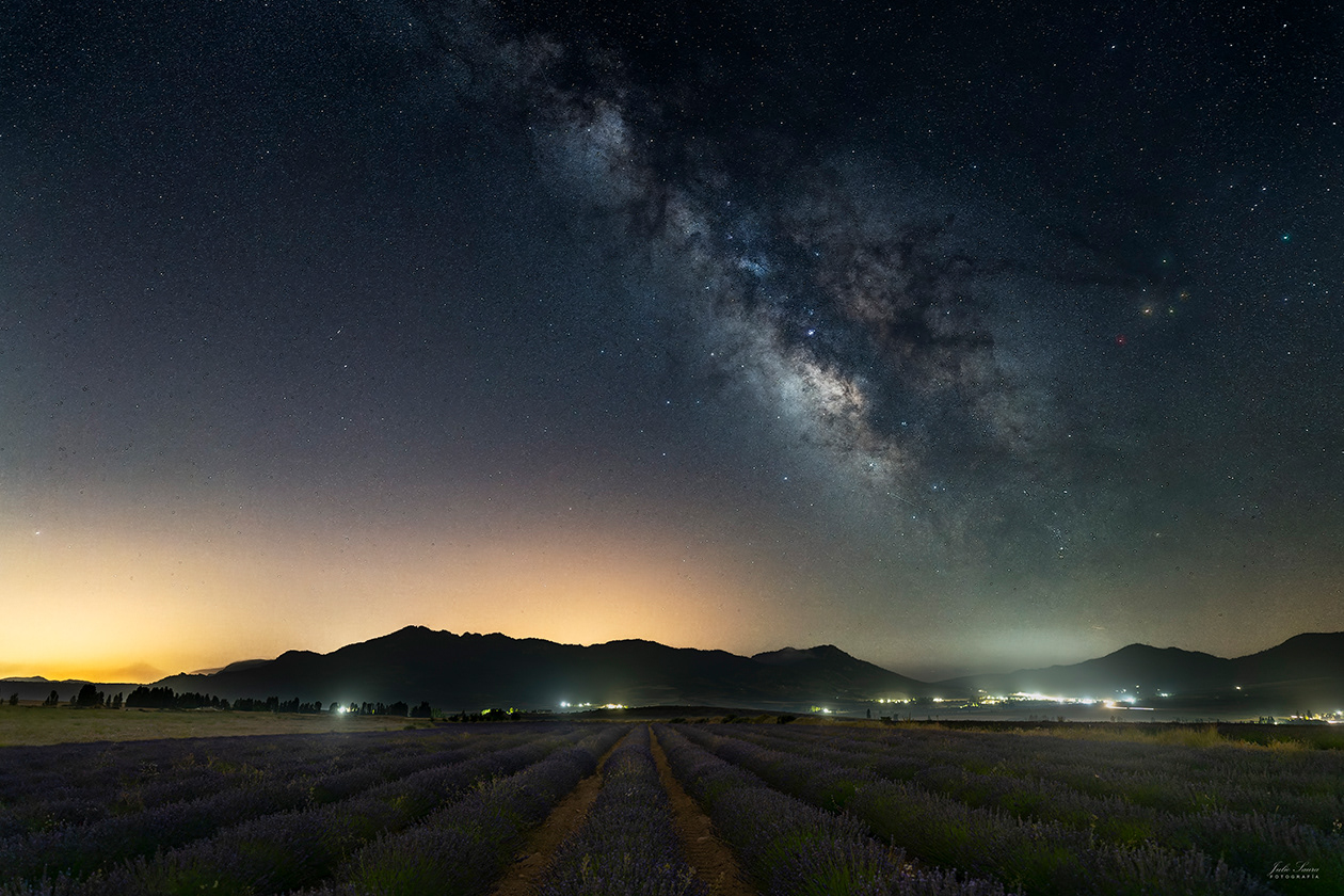 Lavanda en Campo de San Juan, Moratalla
