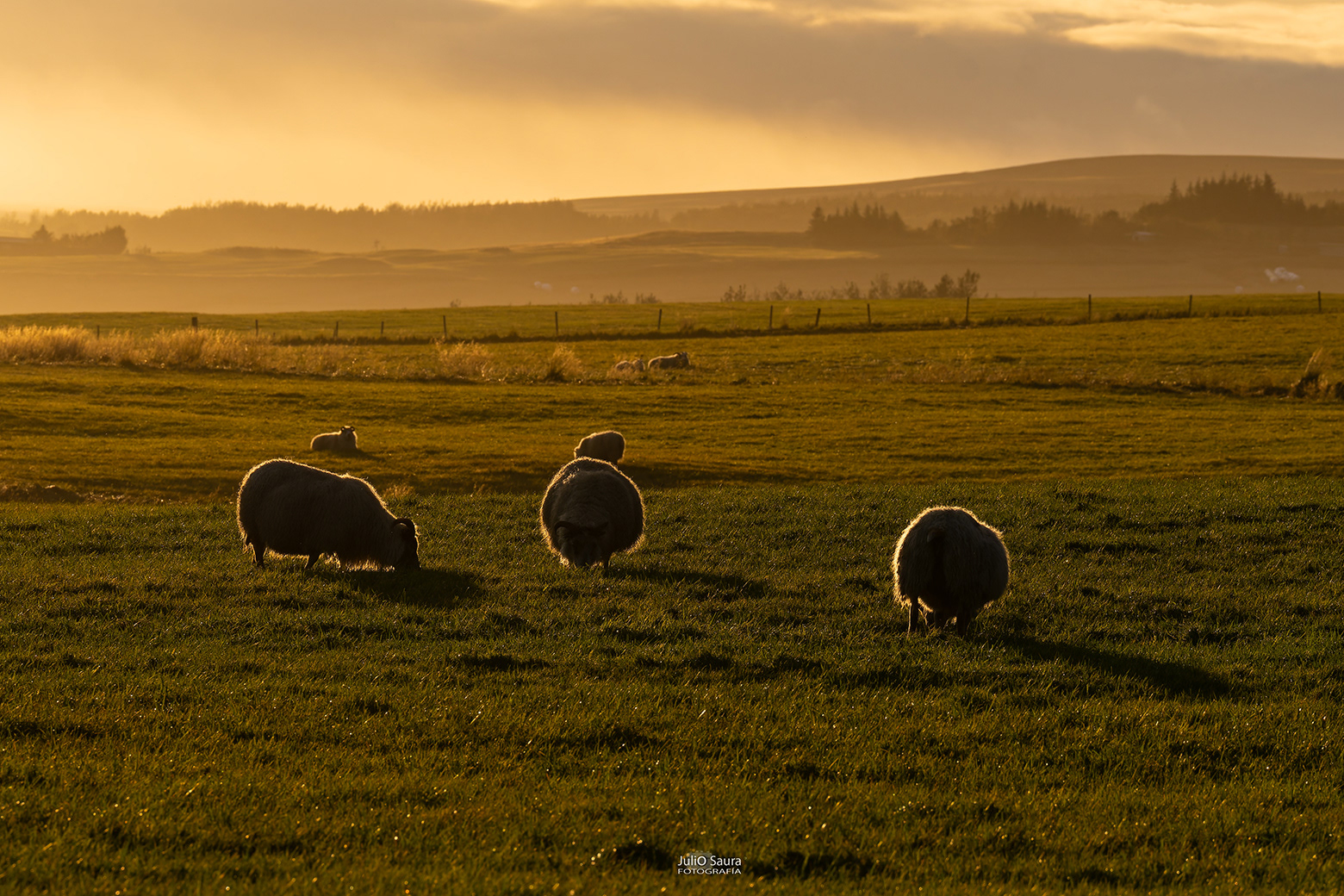 Fototour Luces del Norte 24
