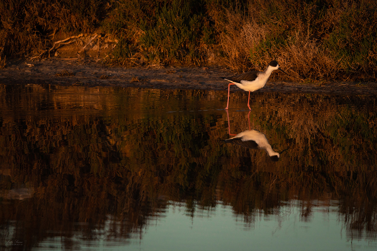 Salinas de San Pedro