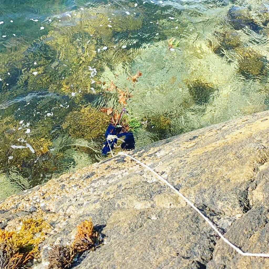 Ingrid's 'sensing the landscape' workshop / Copyright © Michael Taiwo 2019