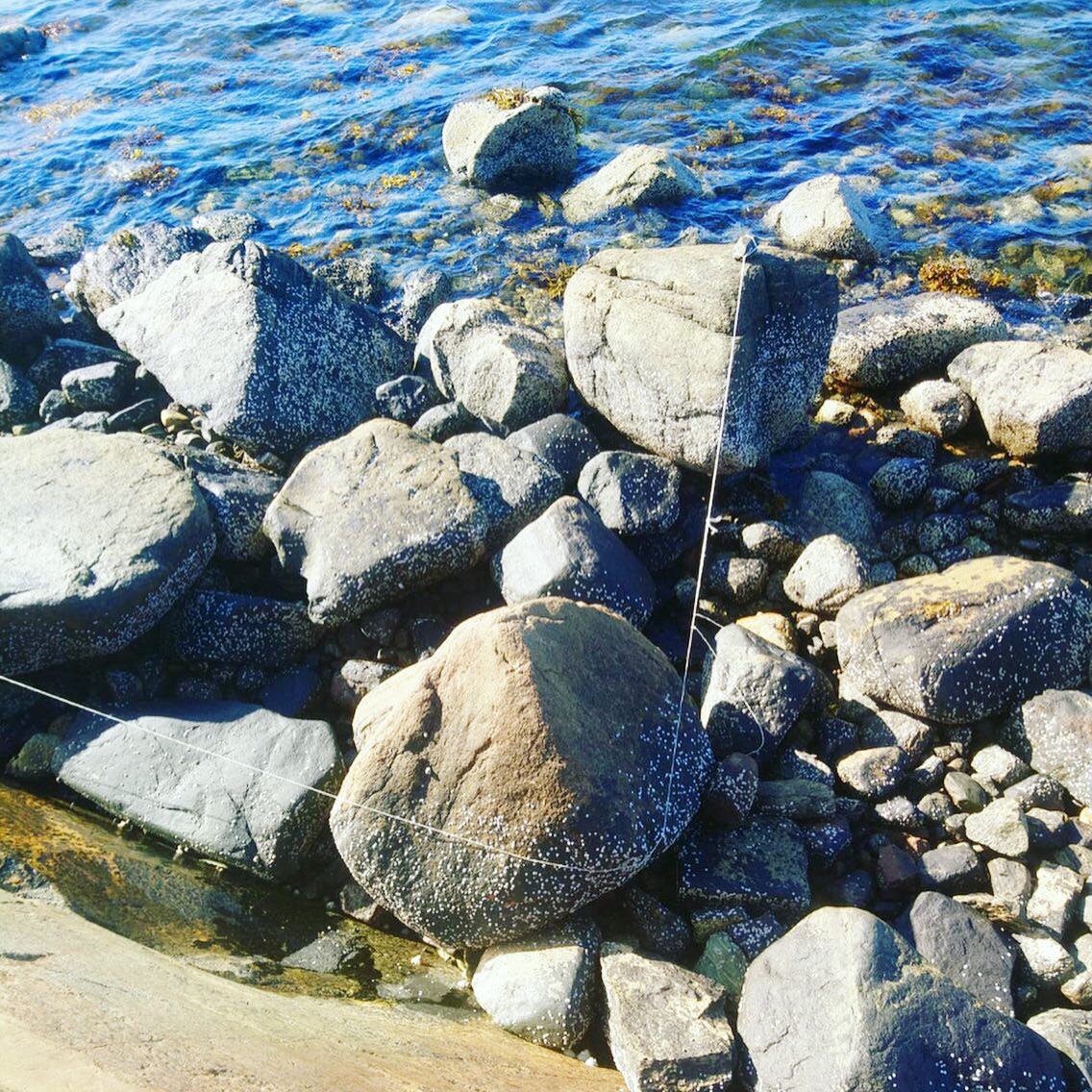 Ingrid's 'sensing the landscape' workshop / Copyright © Ingrid Pumayalla 2019