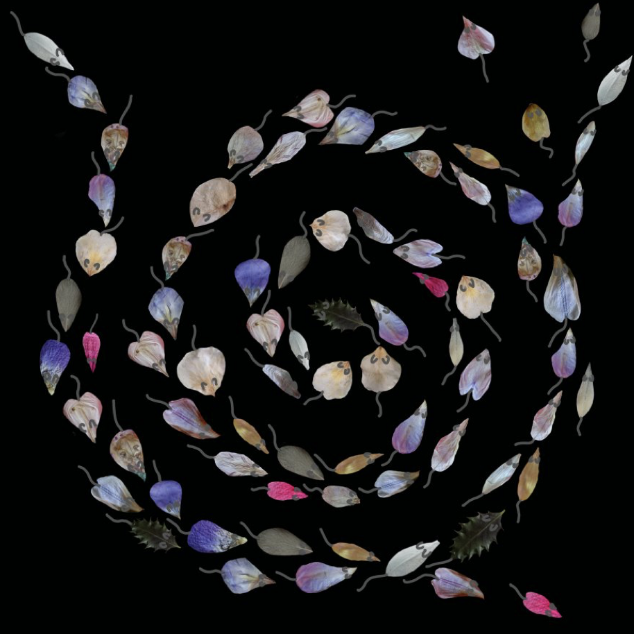"Spiraling", Dodsicle
