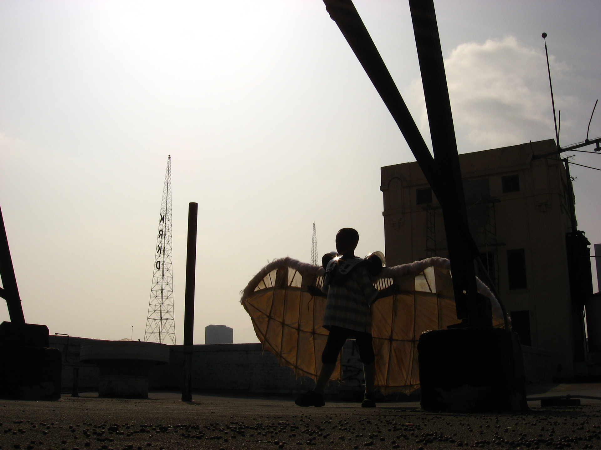 Da Vinci Wings for AFI Short "Lift off."