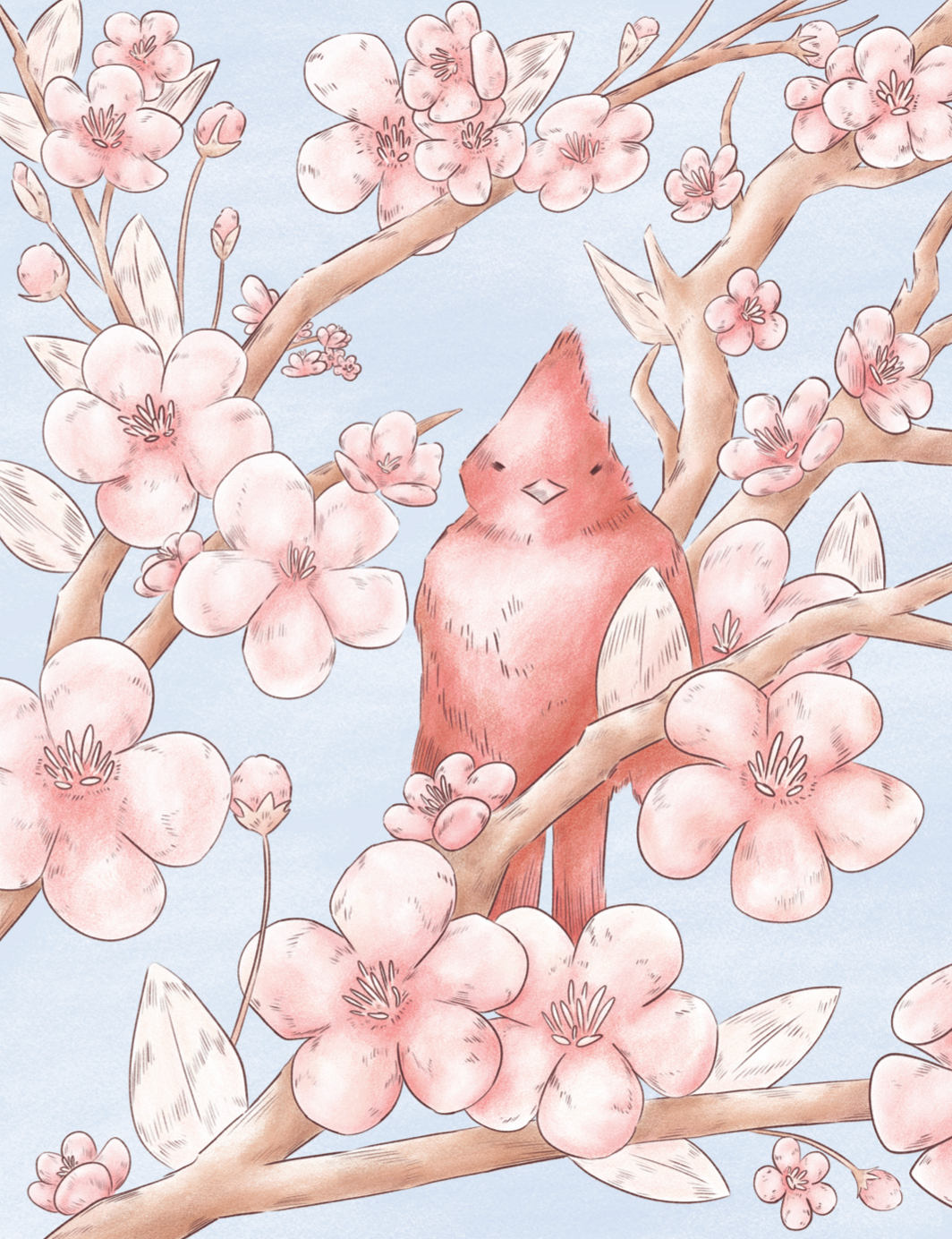 Cardinal and Crab Apple Blossoms
