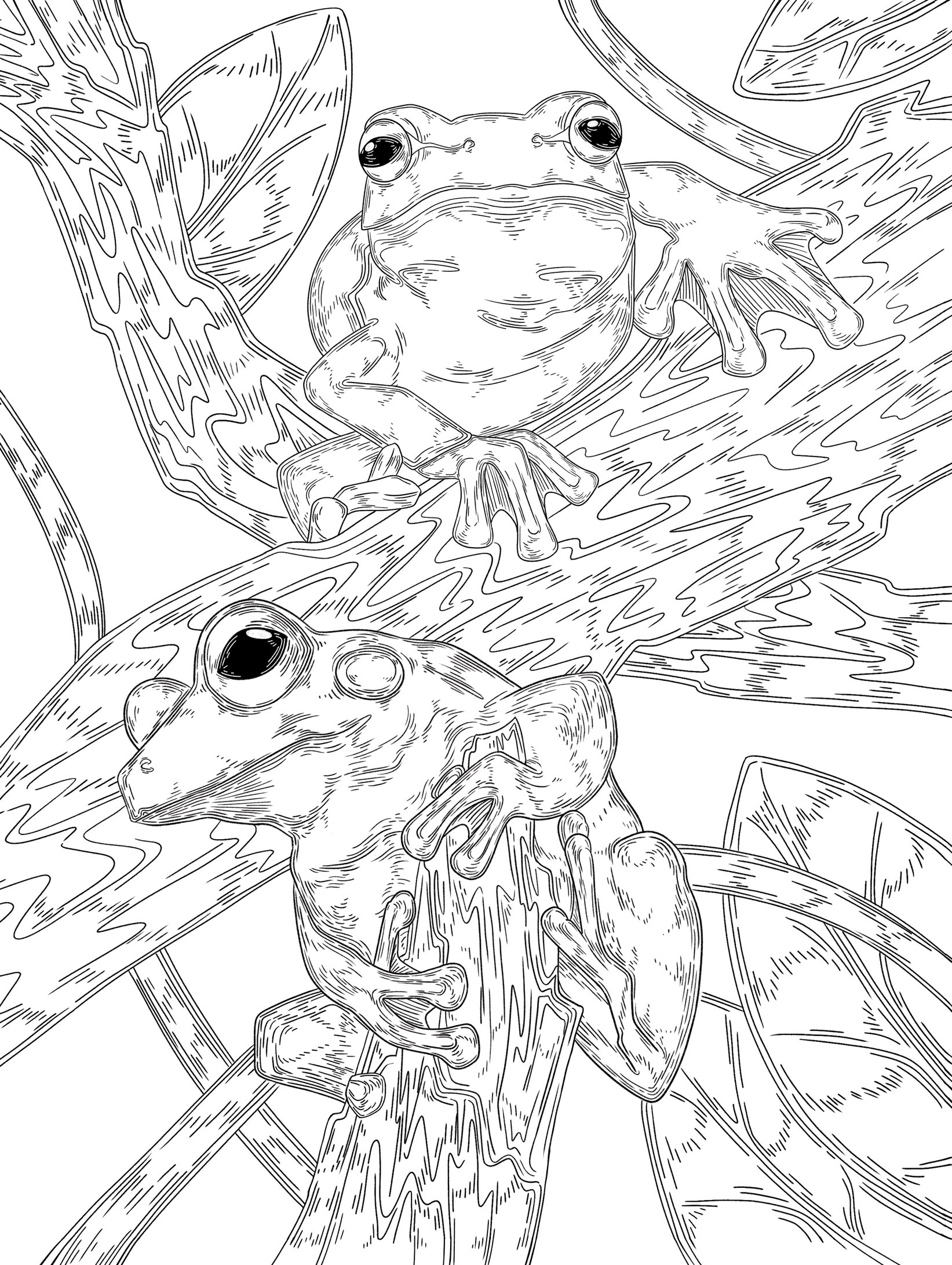 Helen's Flying Treefrog Coloring Page