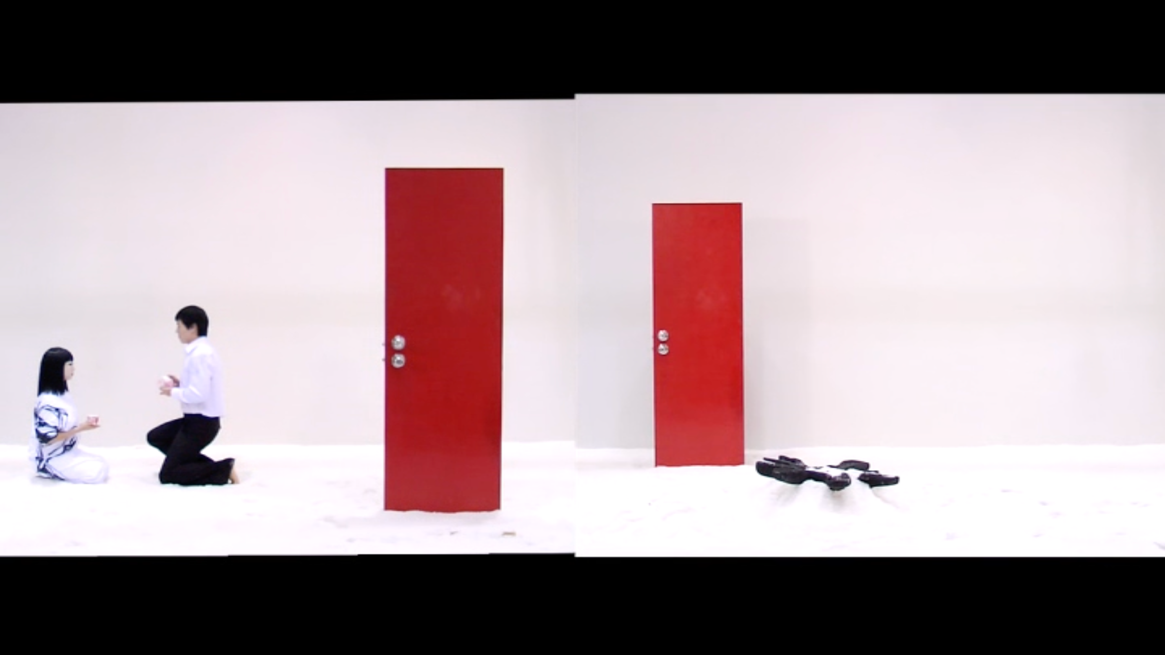 Red Door: A Study on How We Should Face and Look at Each Other in the Last Moments of Life 2008. 2 Channel video and sound, 10'46".