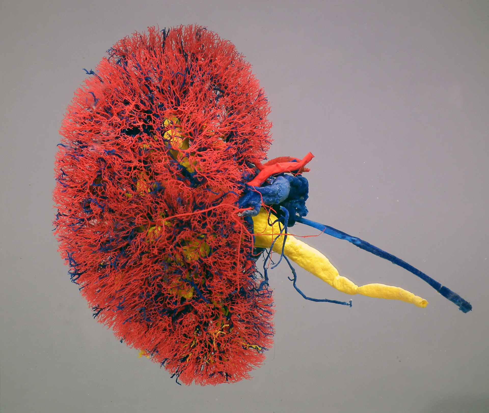 Fig. 10