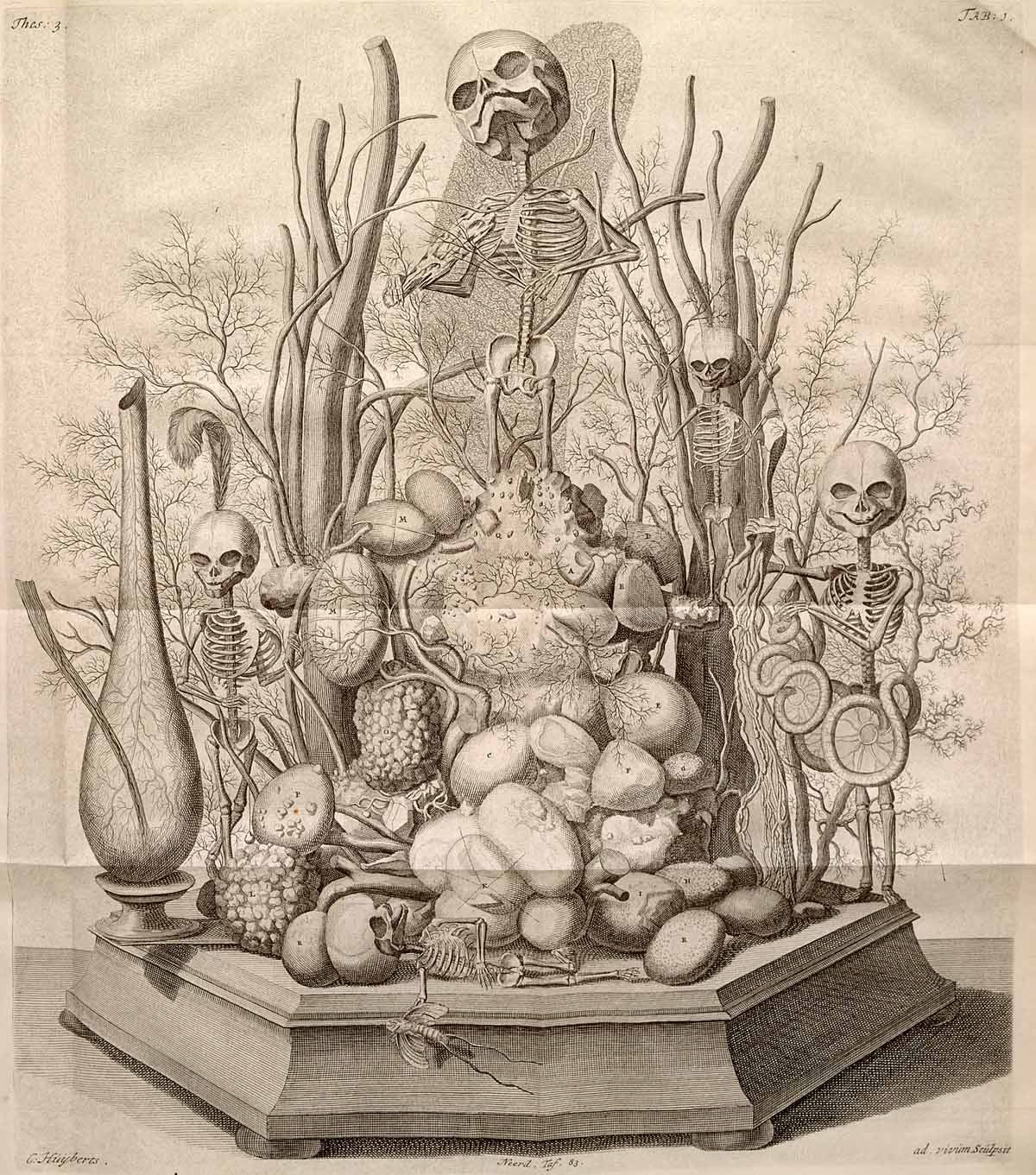 Fig. 5