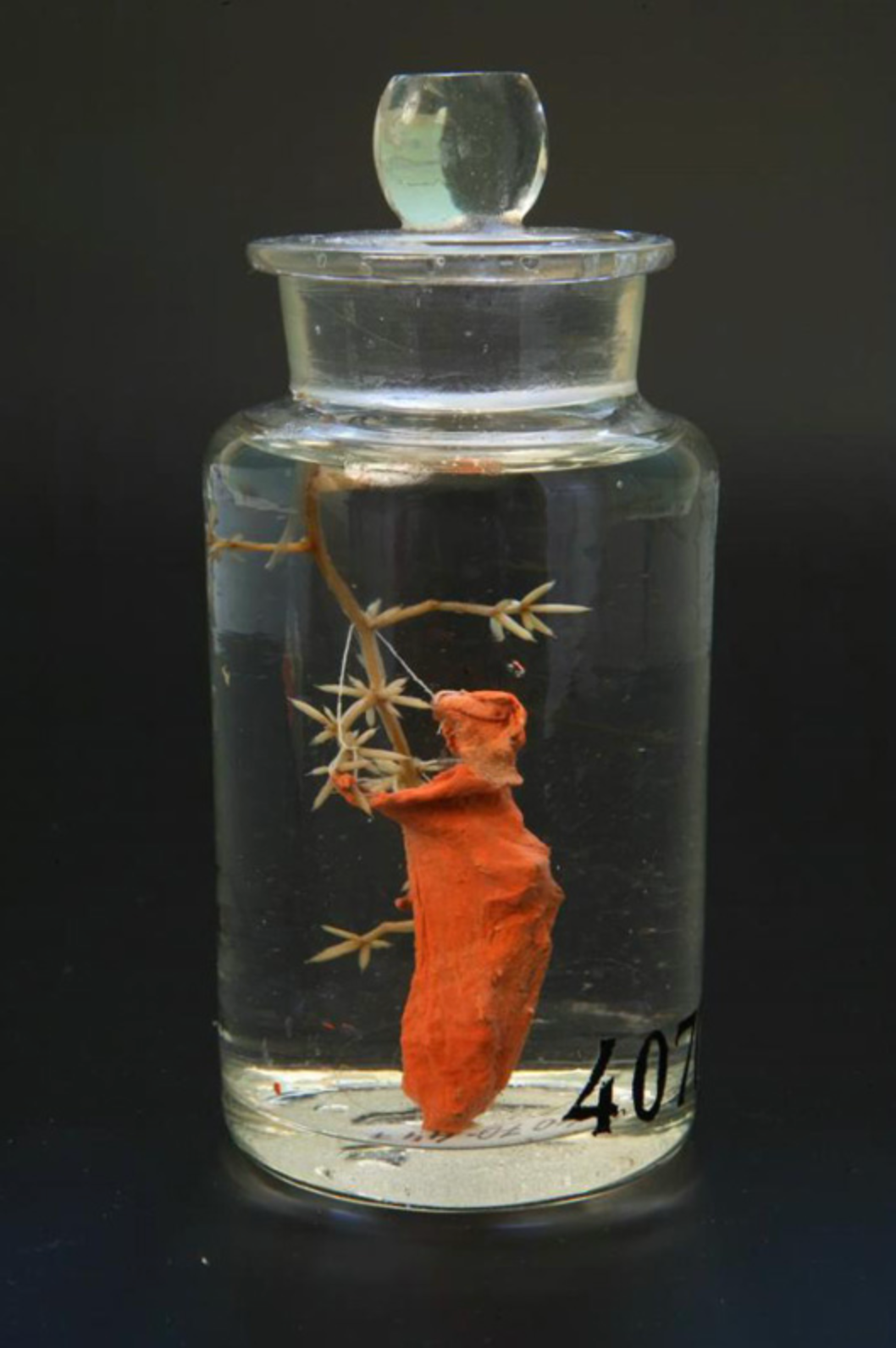 Fig. 7