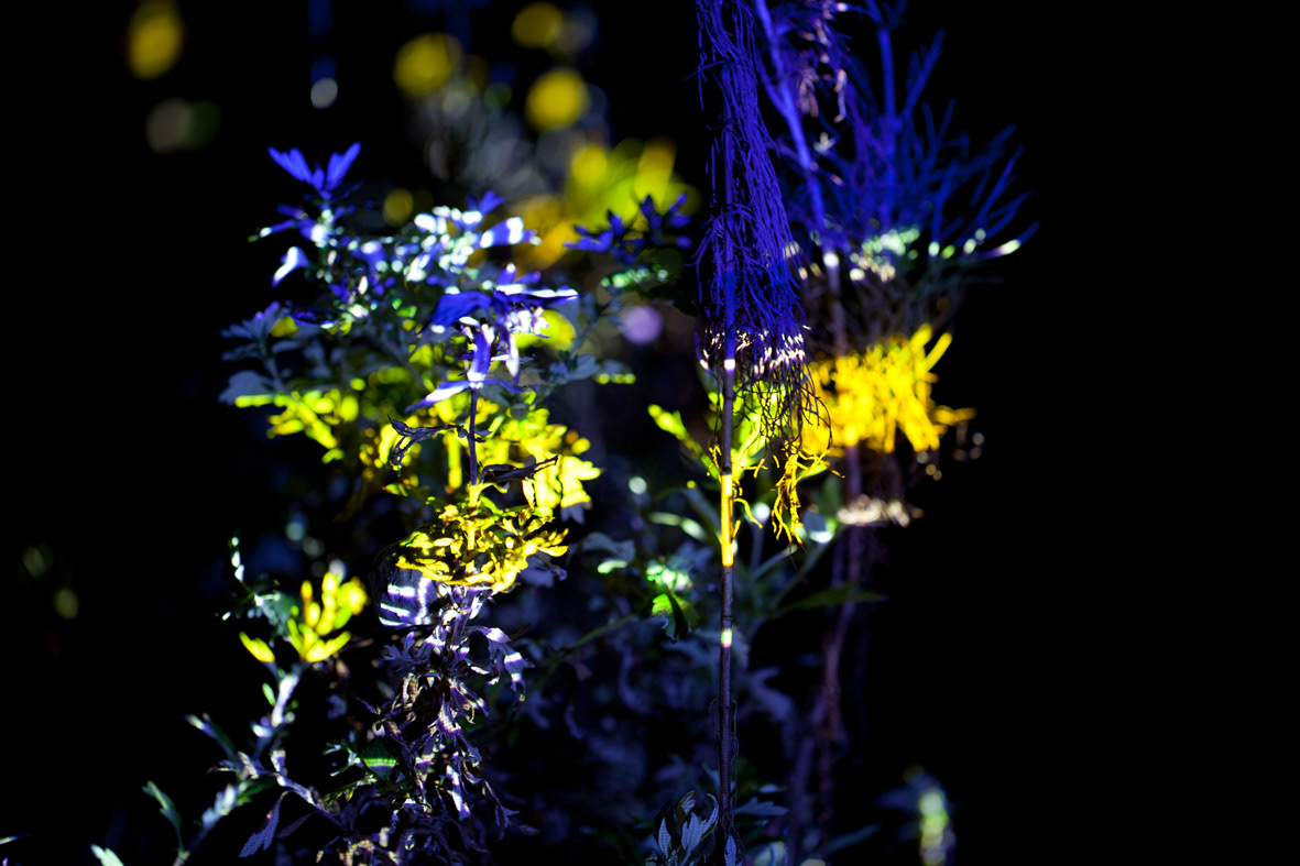 Artificial Flower 2, 2011. C-print photo, diasec, 67.2 x 98cm