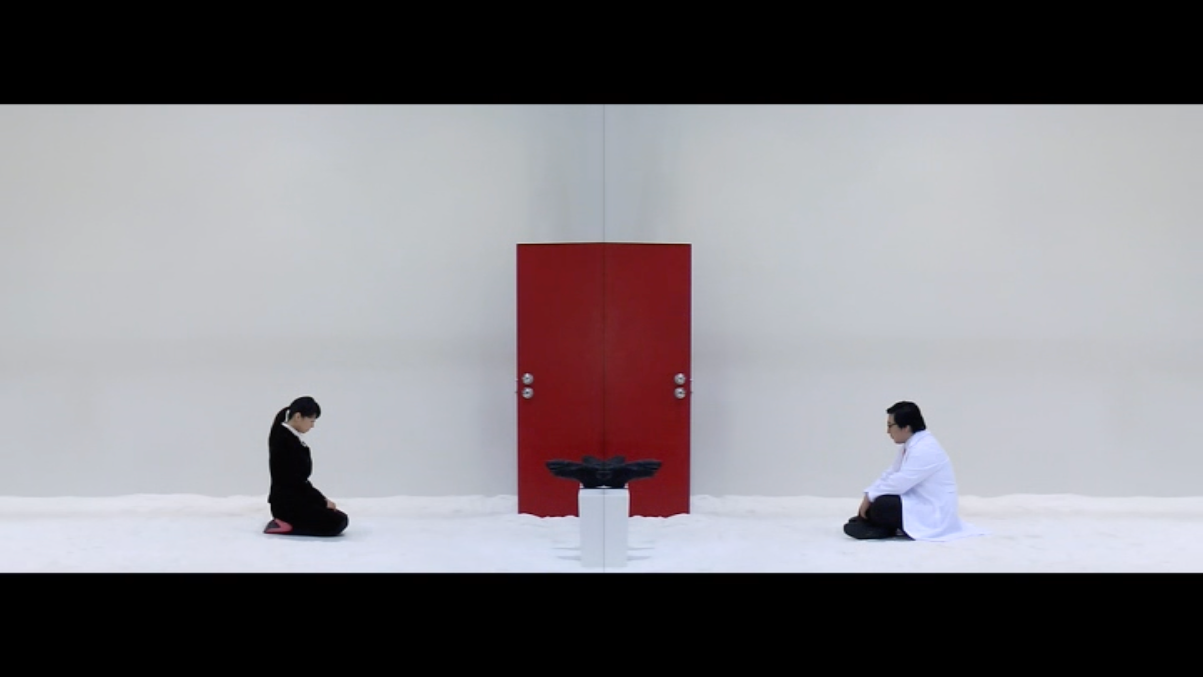 Red Door: A Study on How We Should Face and Look at Each Other in the Last Moments of Life 2008. 2 Channel video and sound, 10'46".