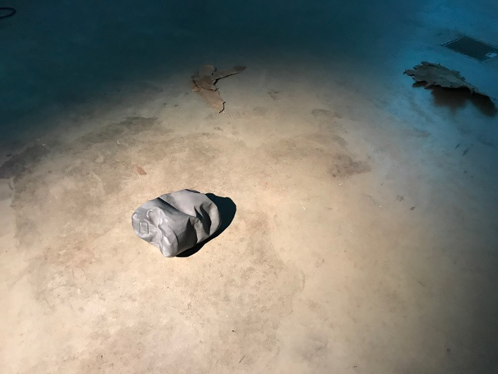 Domestic Garden - Black Milk, Installation view