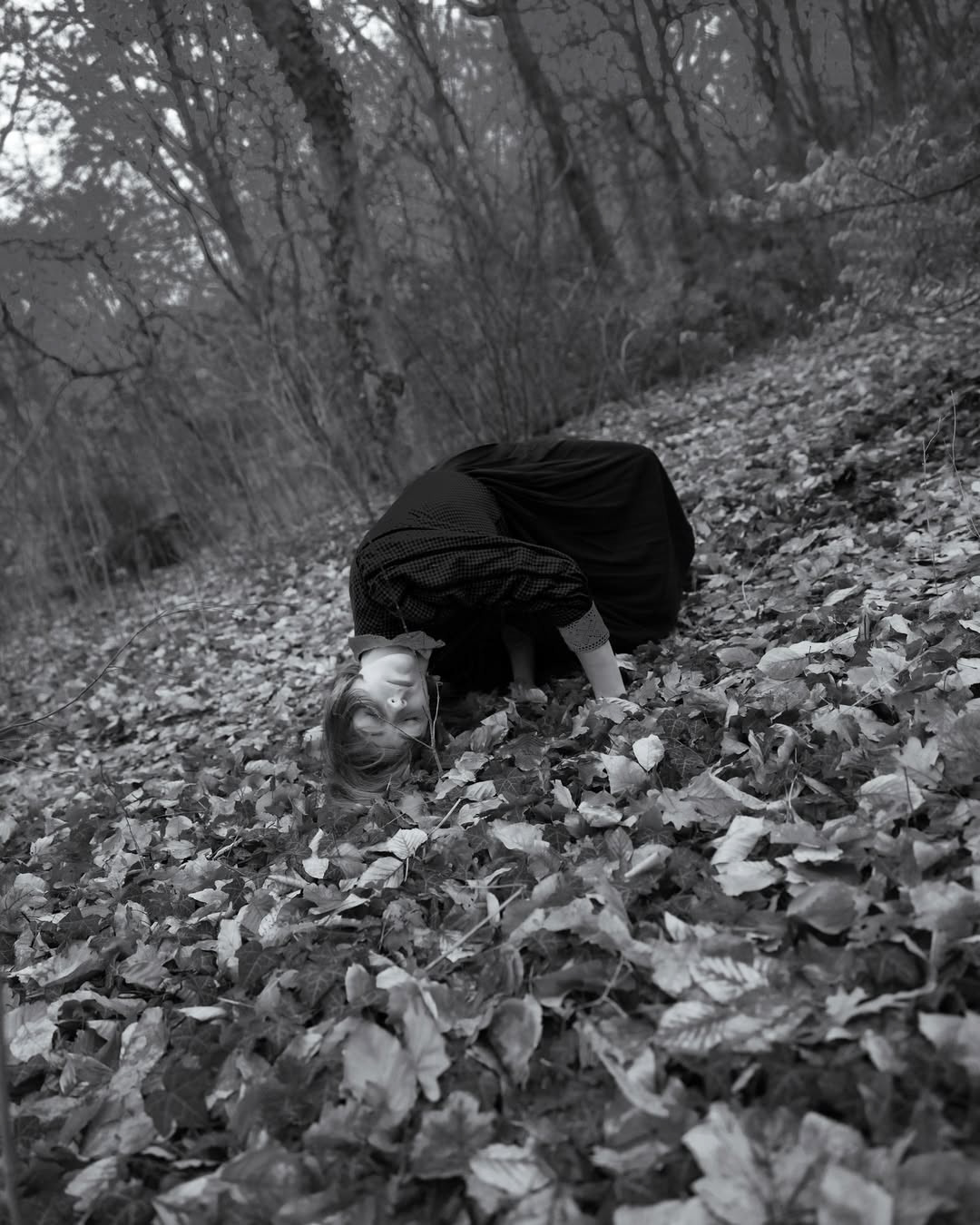 Laia Vancells