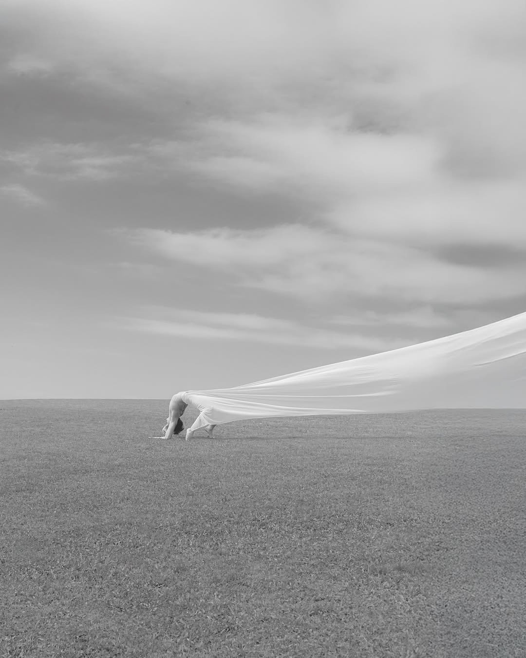 FRANCISCO ROSSO