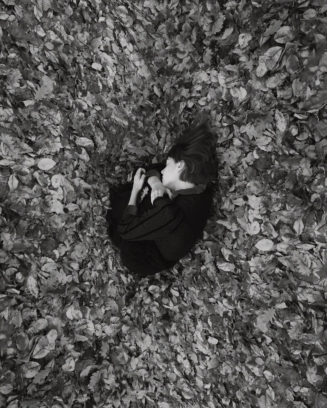 Laia Vancells