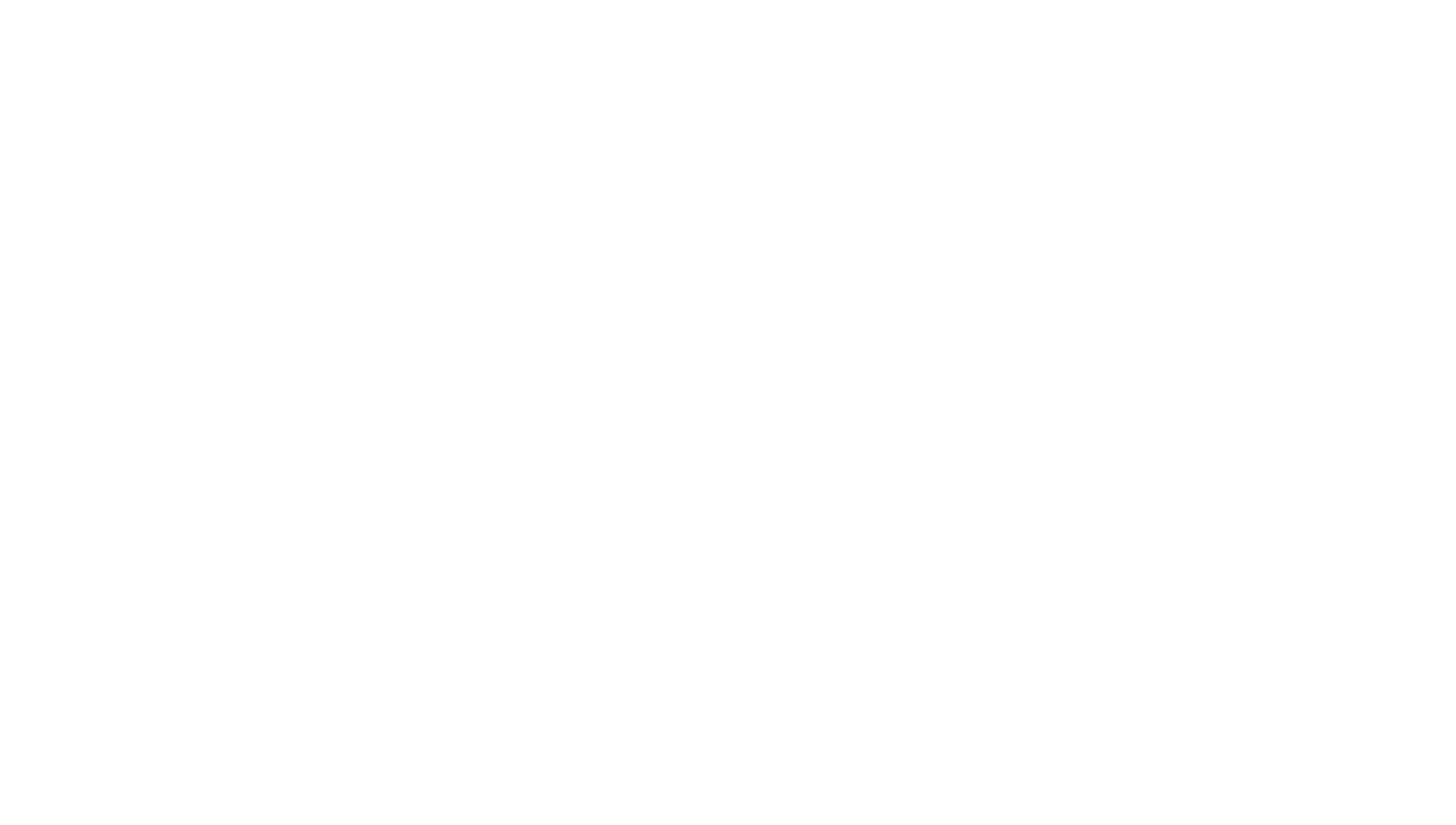 Ibrahim Malik