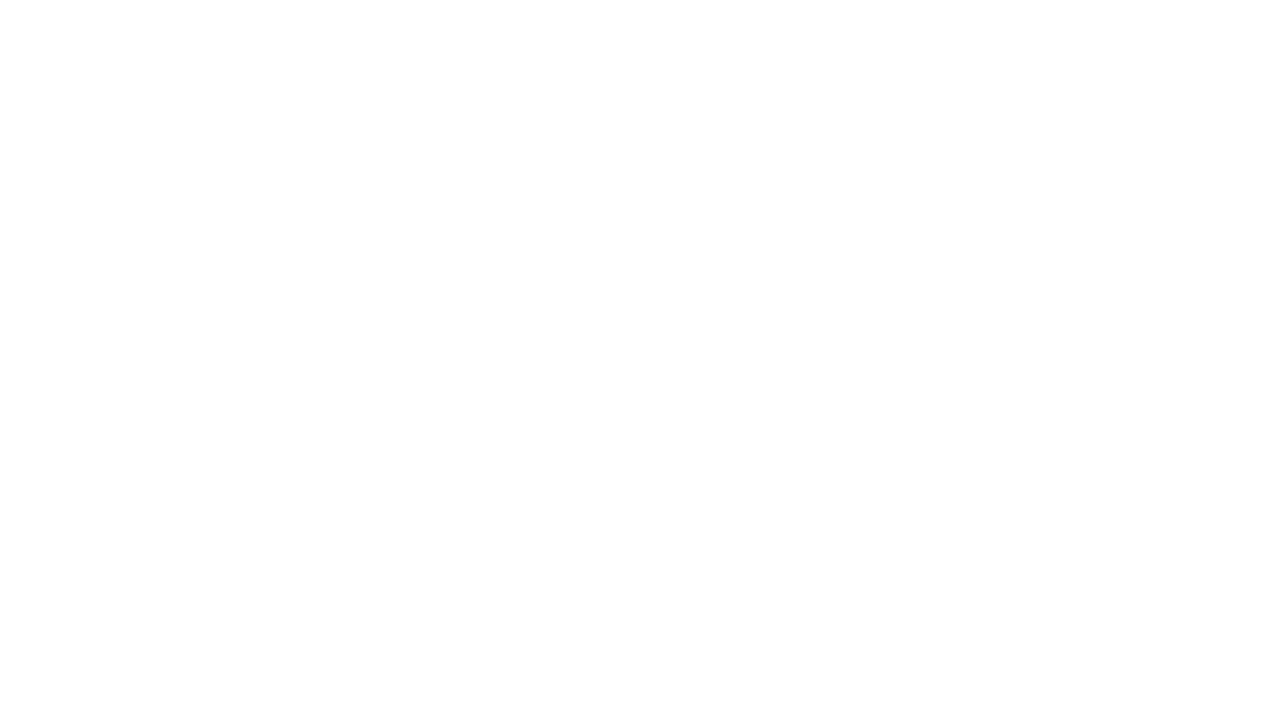 Ibrahim Malik