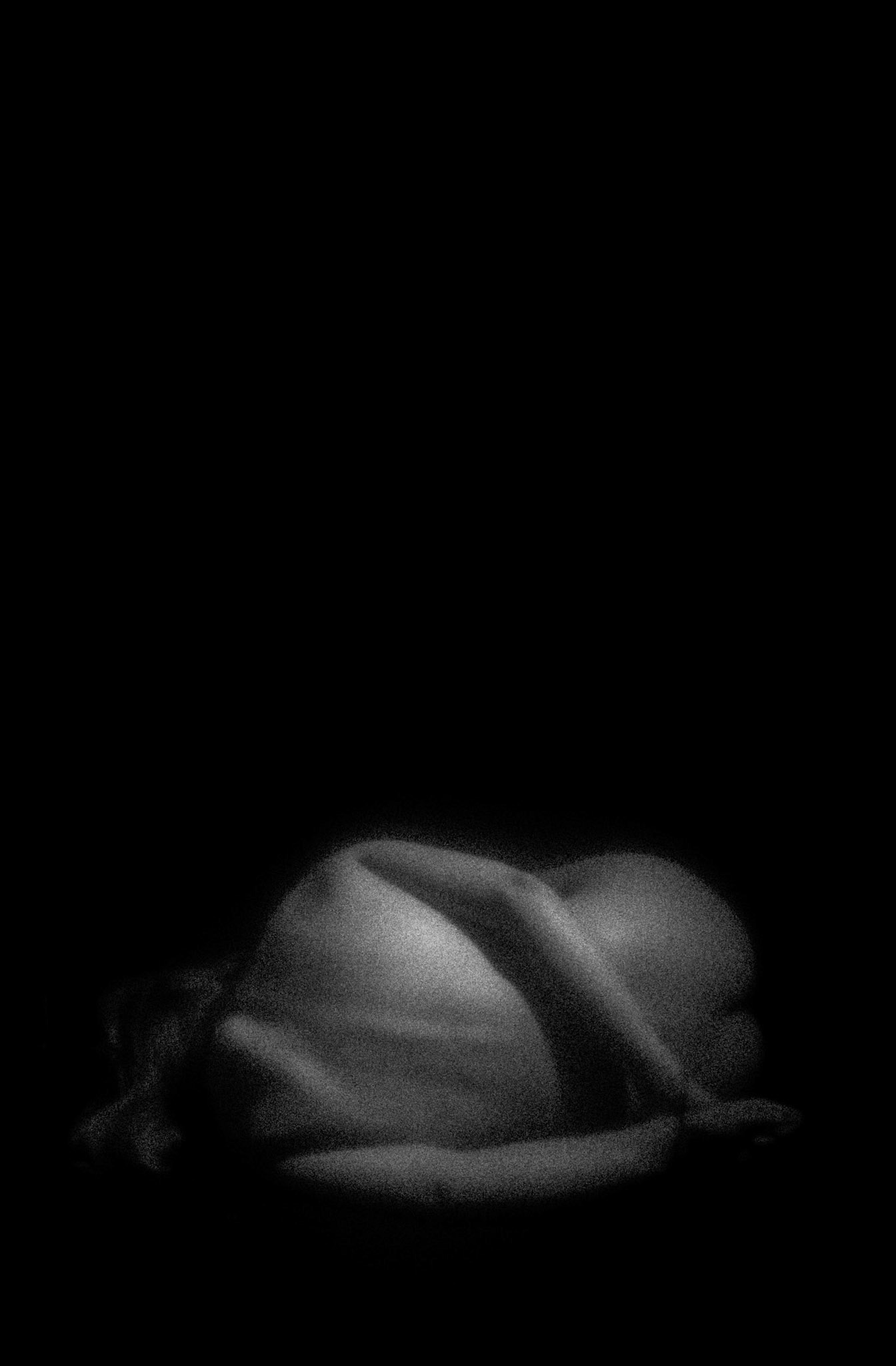 PH21 Gallery - Staged - 2019