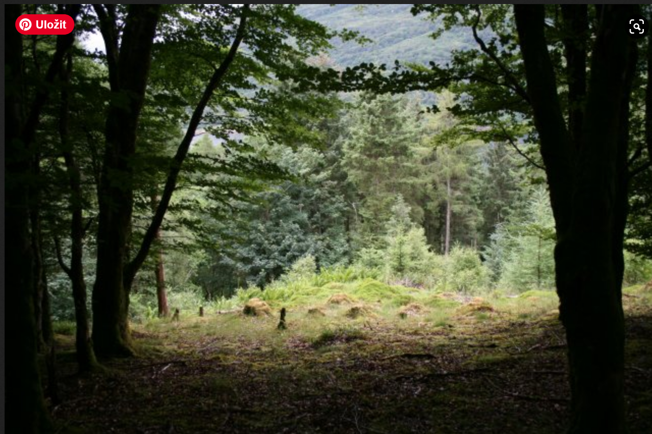 lighting and colour reference