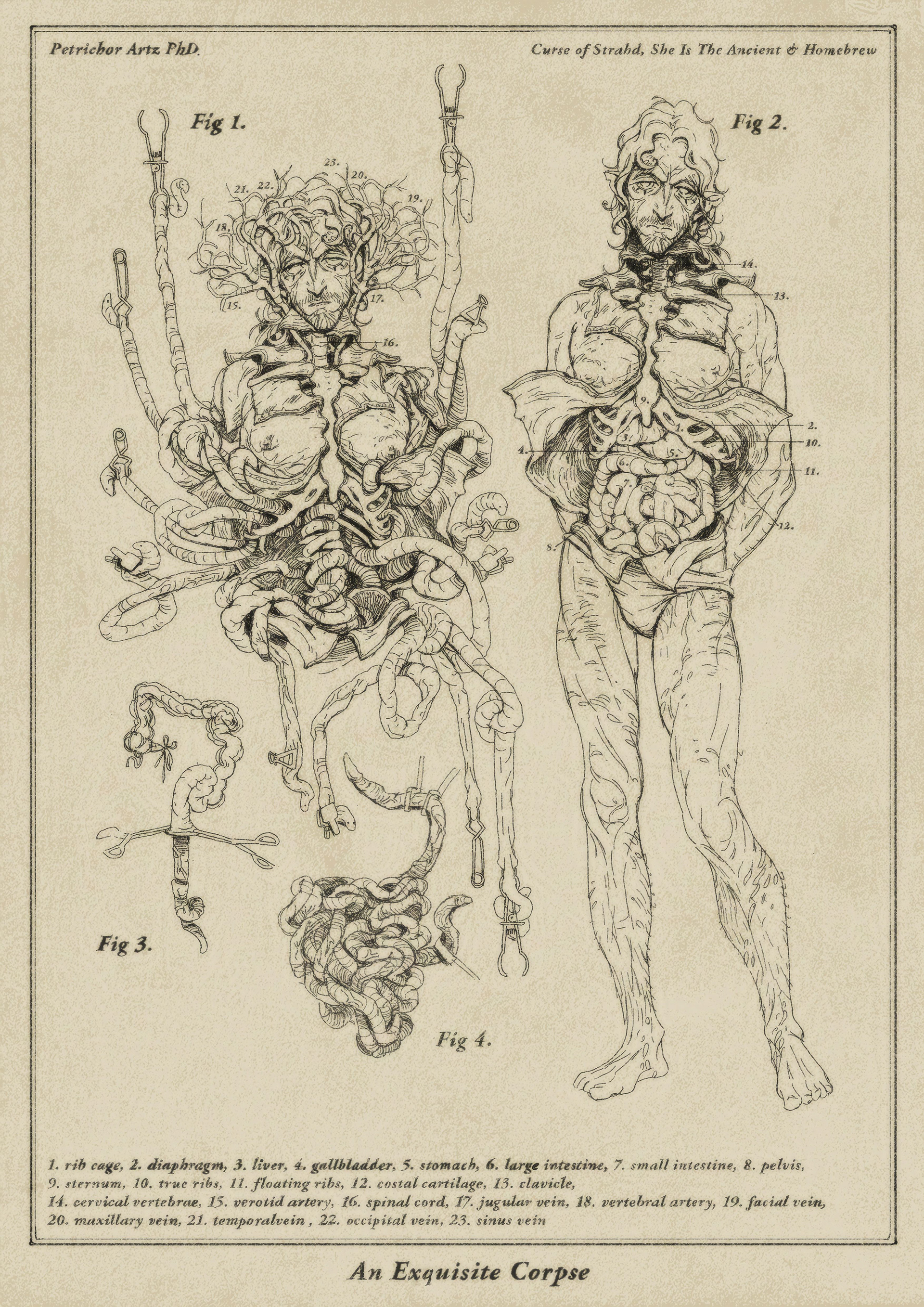 Personal Work (OC: Dr. Petrichor Artz) 2026