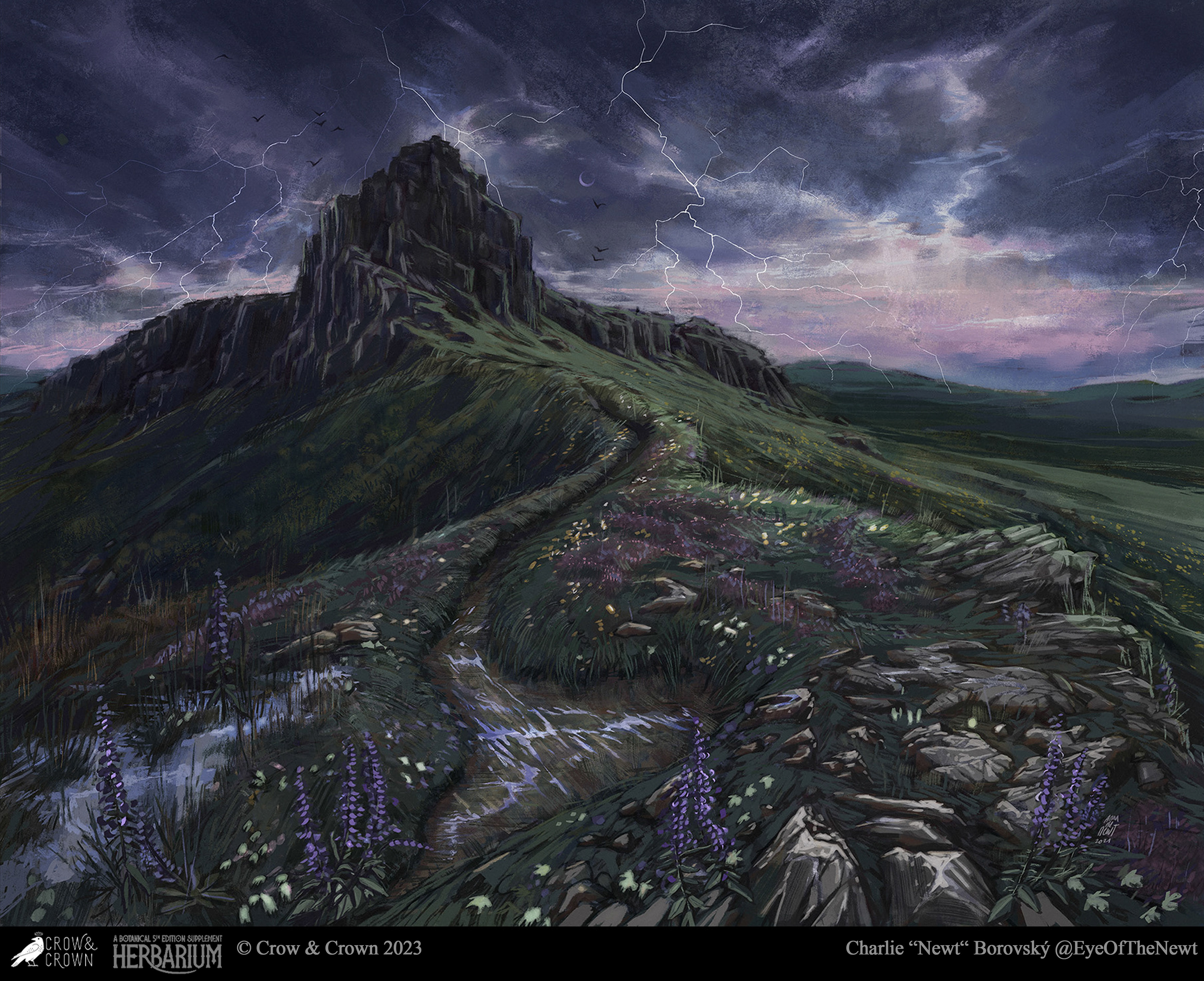 ©Crow & Crown 2023 (Herbarium) - half page