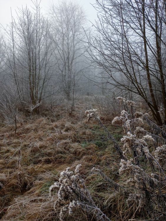 enviroment reference