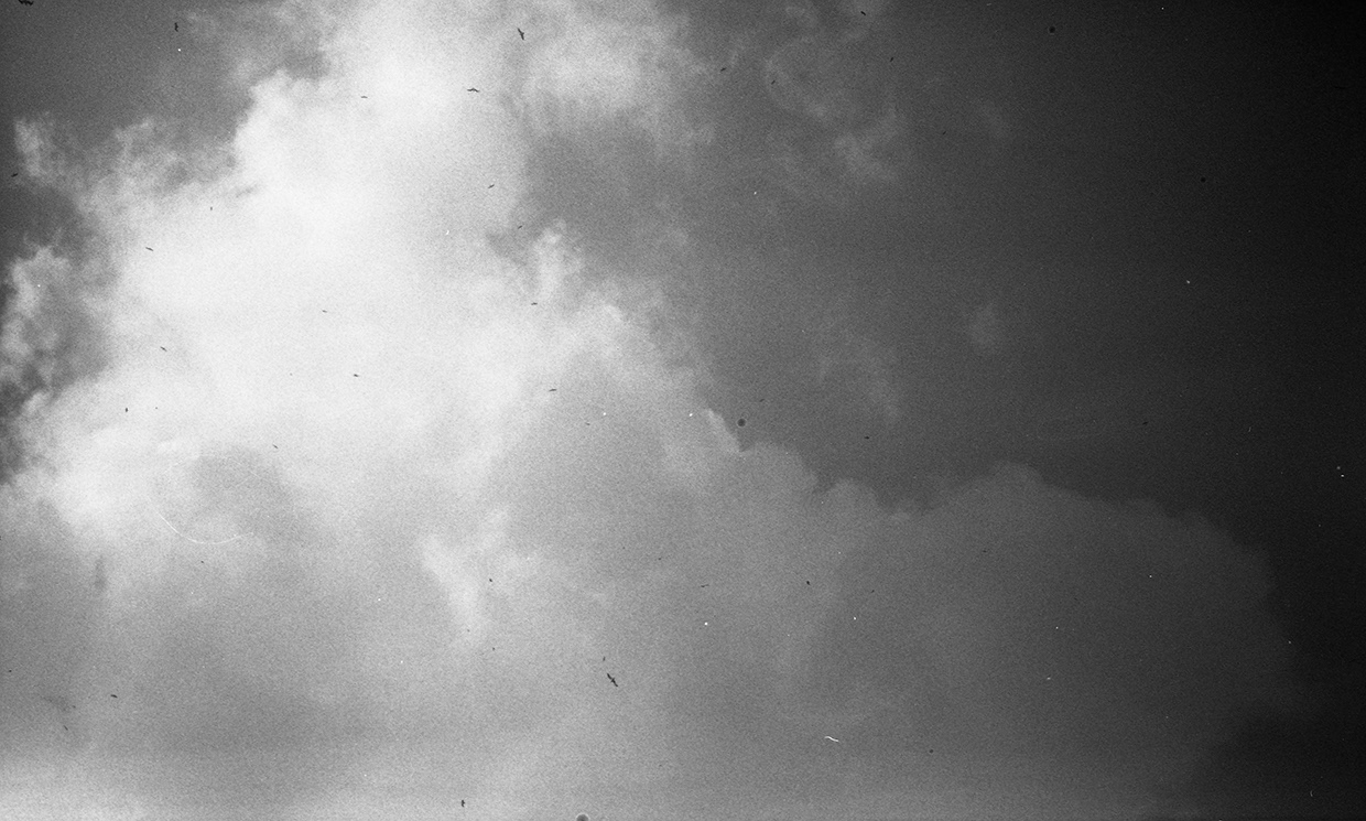 clouds and birds in distance, from photographic series atlas of clouds