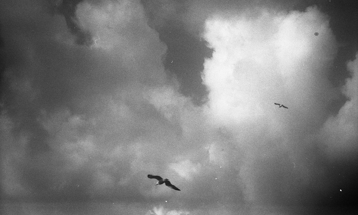 clouds and birds, from photographic series atlas of clouds