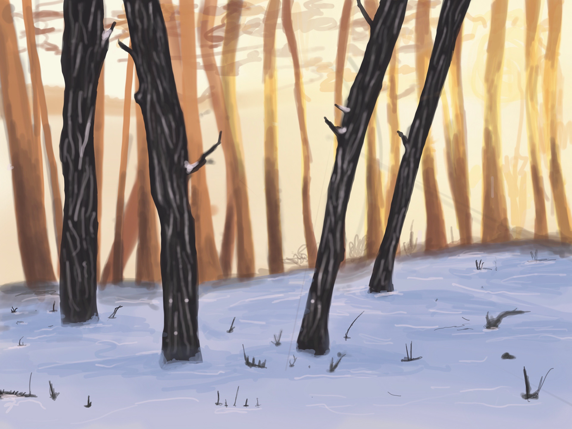 Land space painting