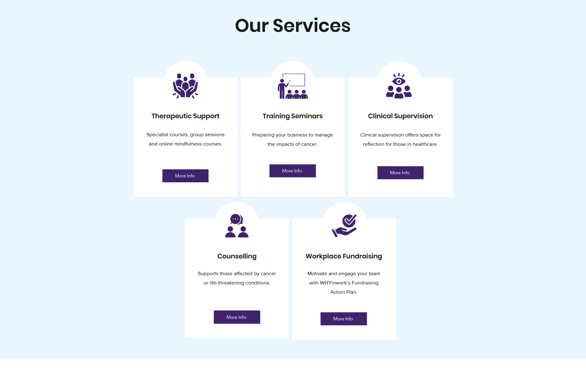 A screenshot of a webpage that has a pale blue background with five icons and "more info" text for different services. 