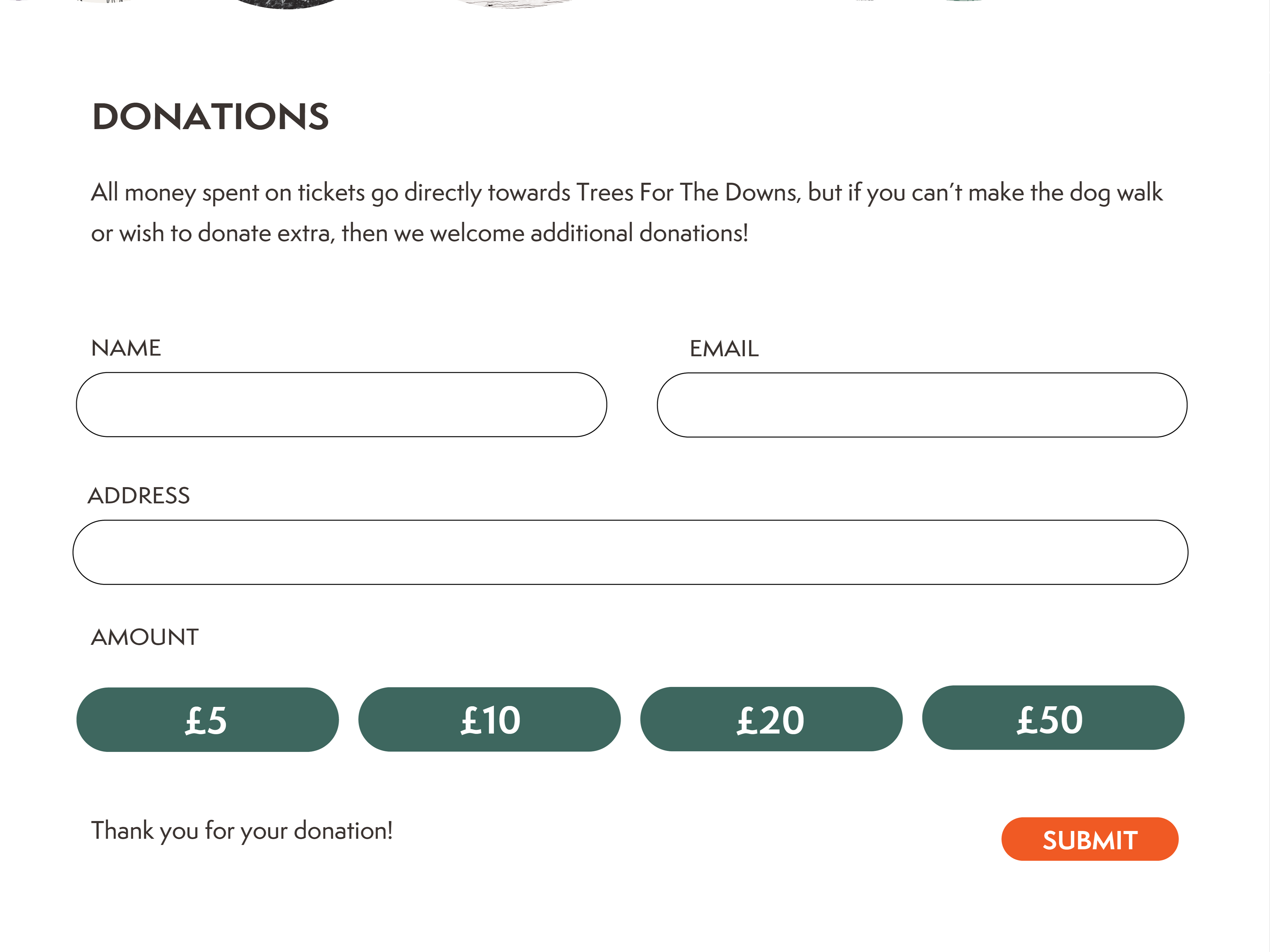 Screenshot of a website that has a donation page with different sums of money and textboxes for the user to answer.