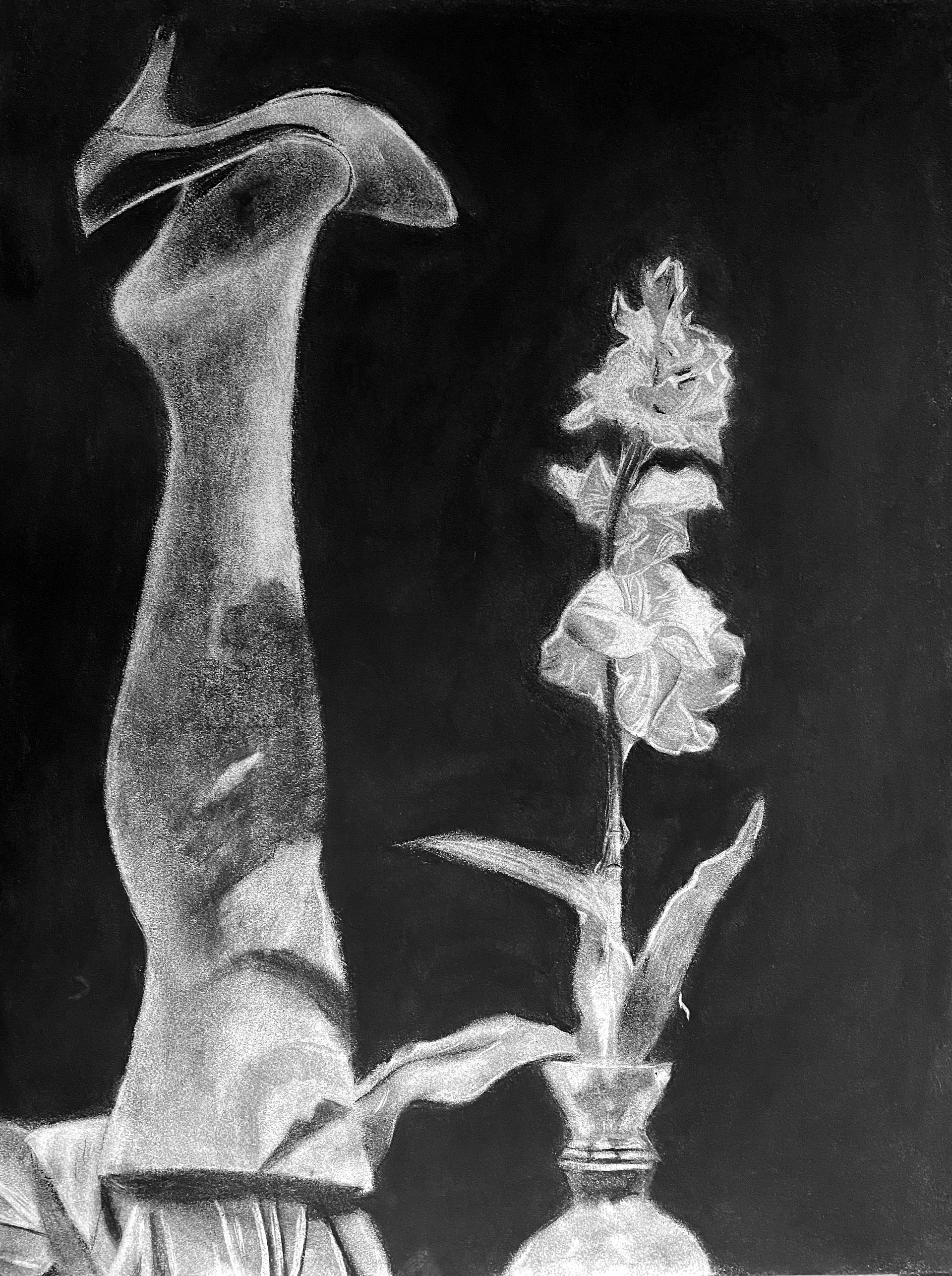 Leg - Charcoal Illustration