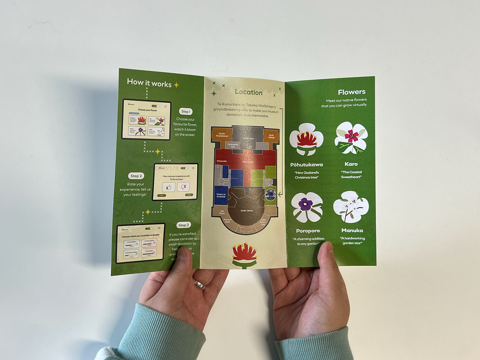 The "Day" Edition of Te Ruma Kare Brochure