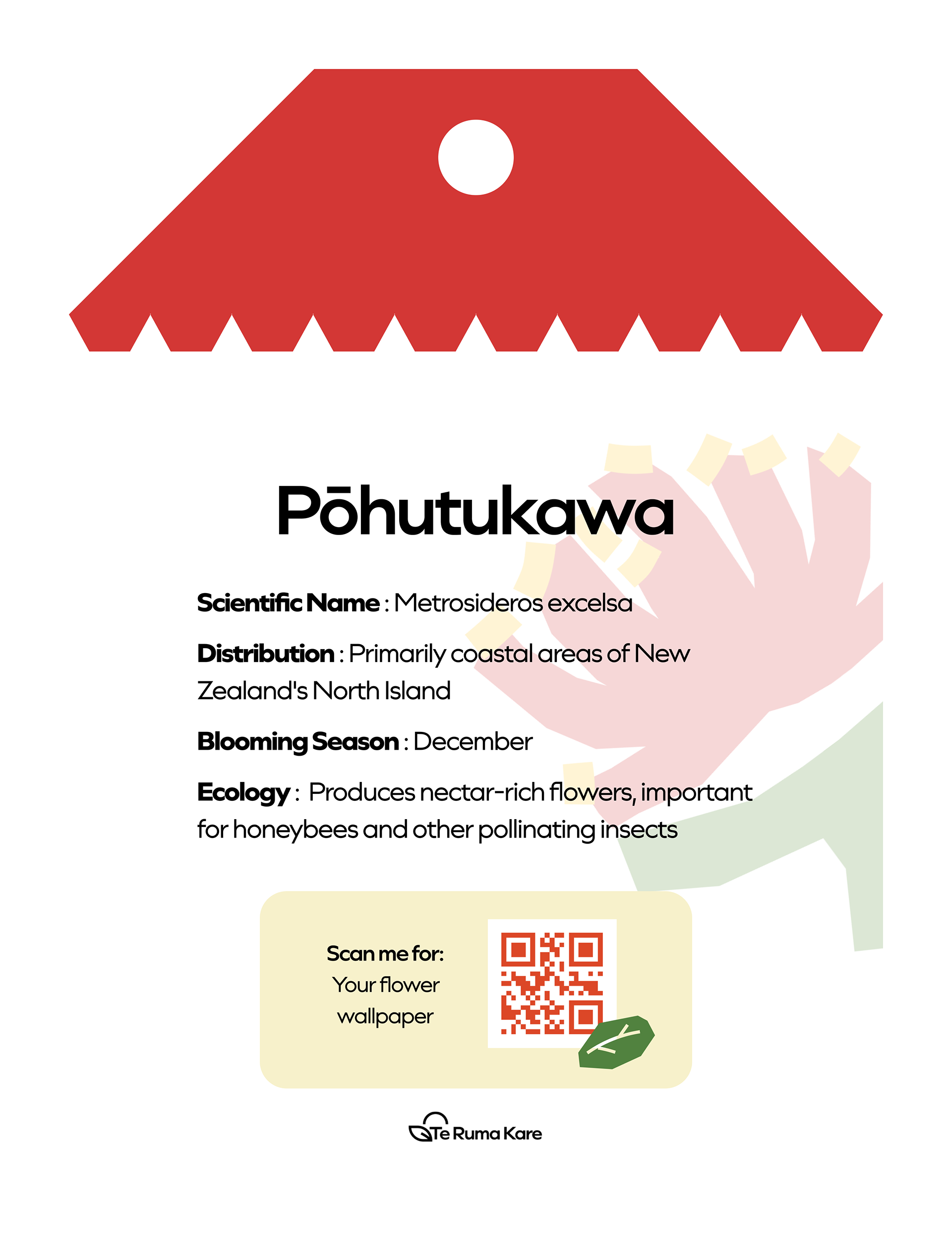 Seed Packet Concept