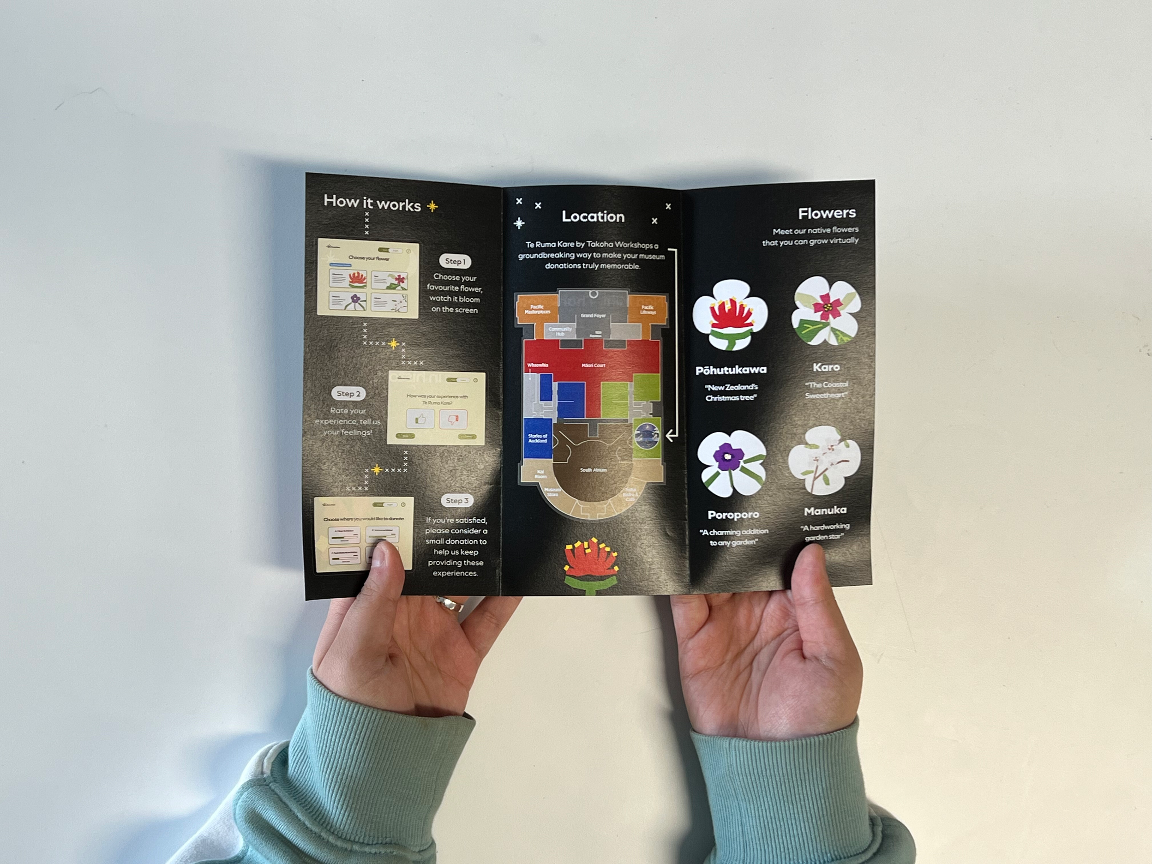 The "Night" edition of Te Ruma Kare Brochure