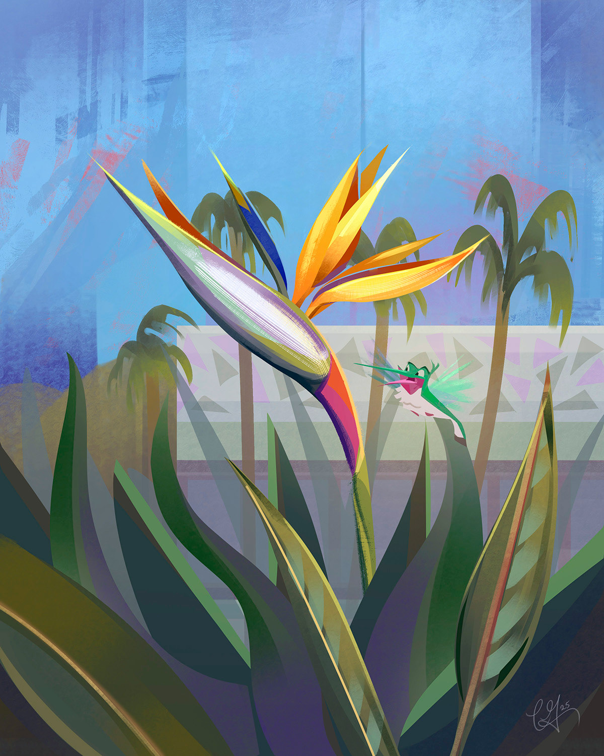 Flit and Birds-of-Paradise