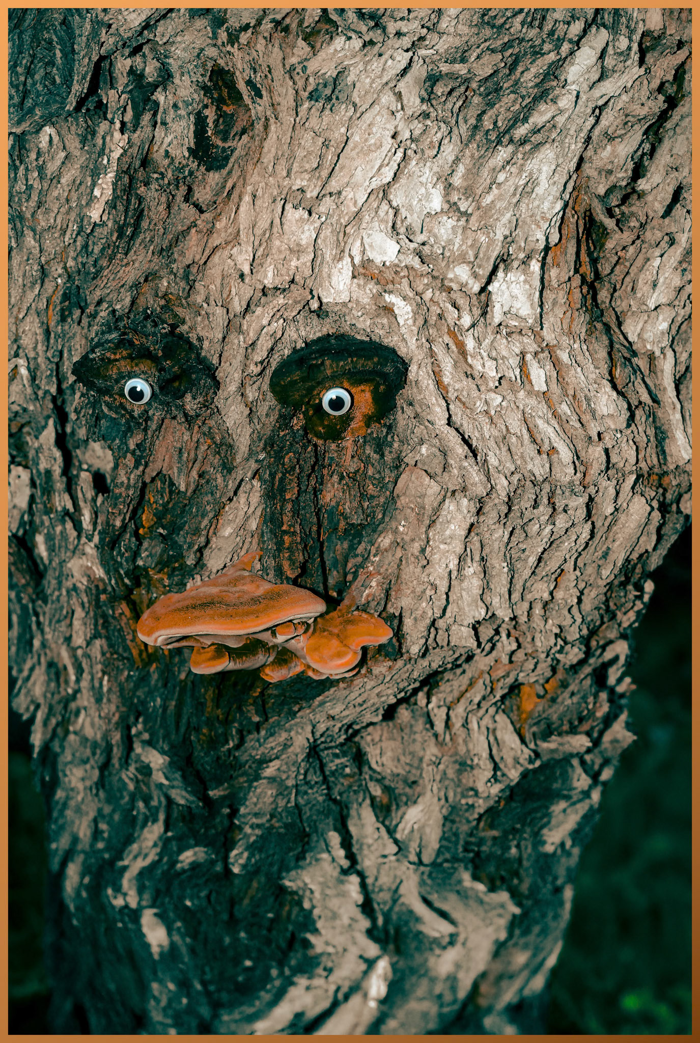 Waldwesen
