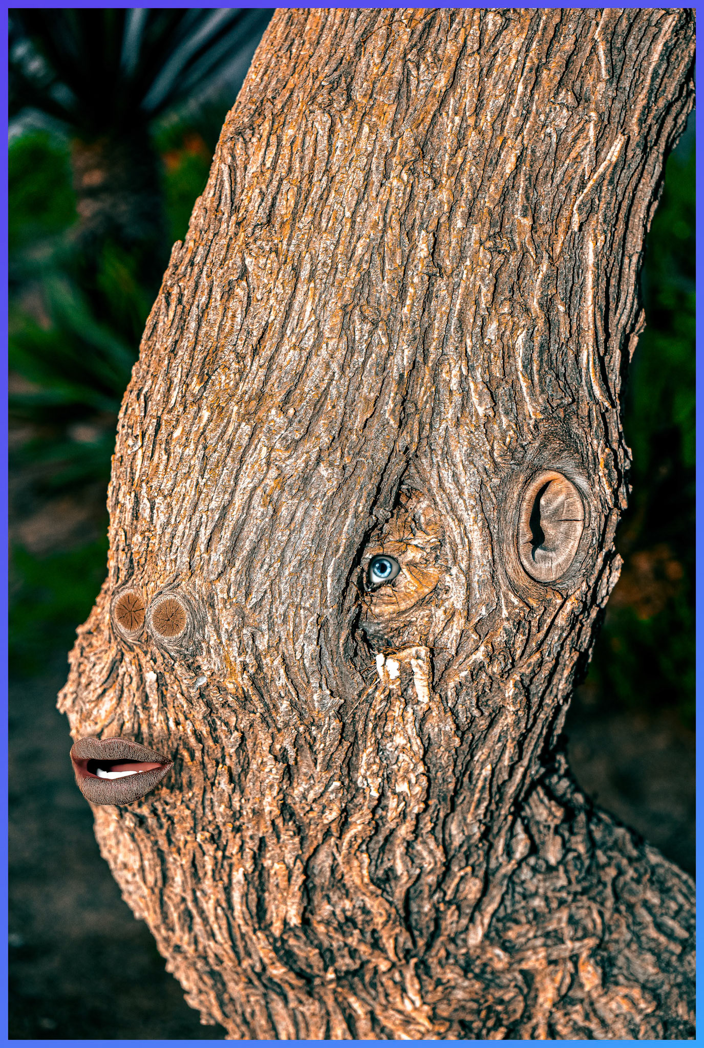 Waldwesen