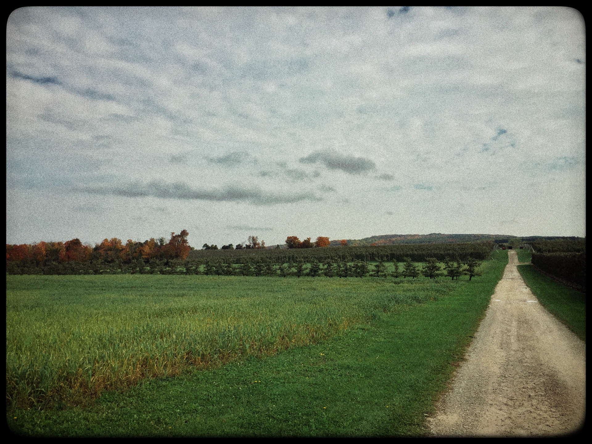 Apple Oarchard on the Blue Mountain on IPhone