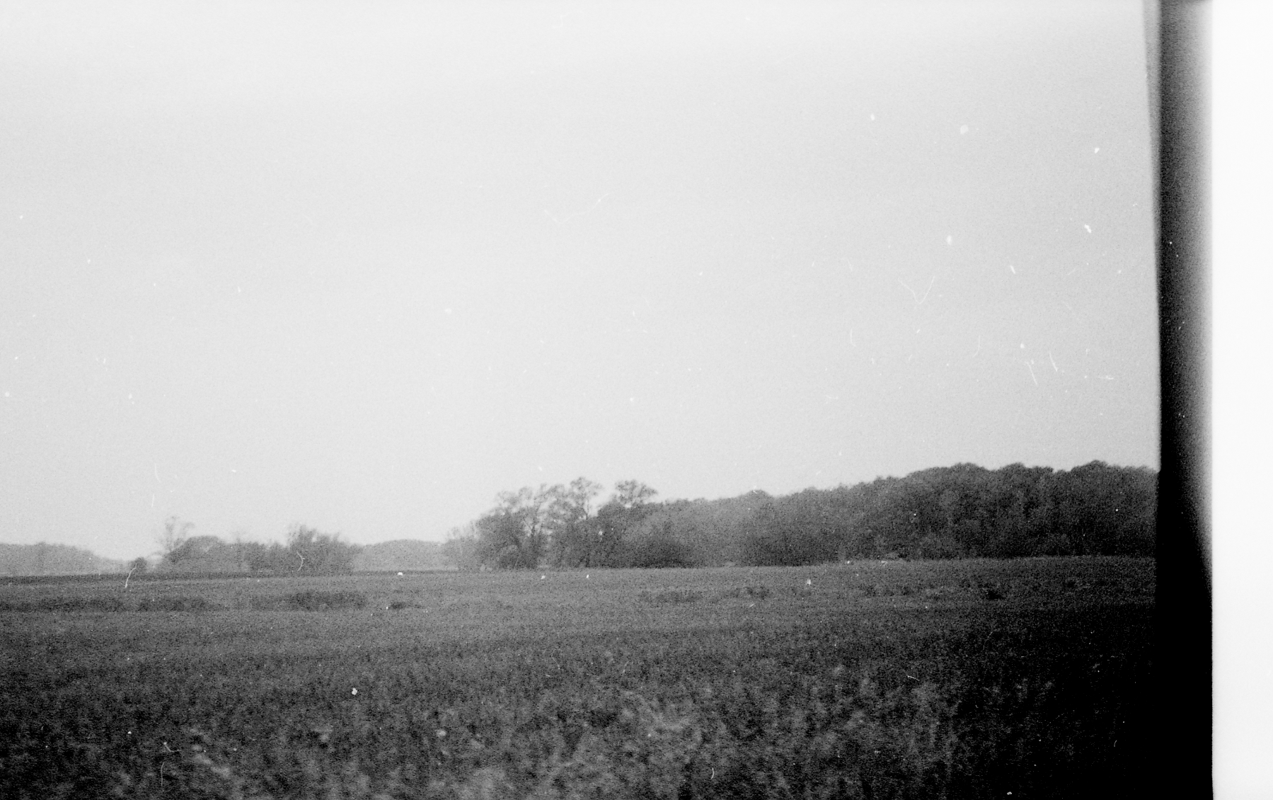 Field in Simcoe county on expired Fujifilm
