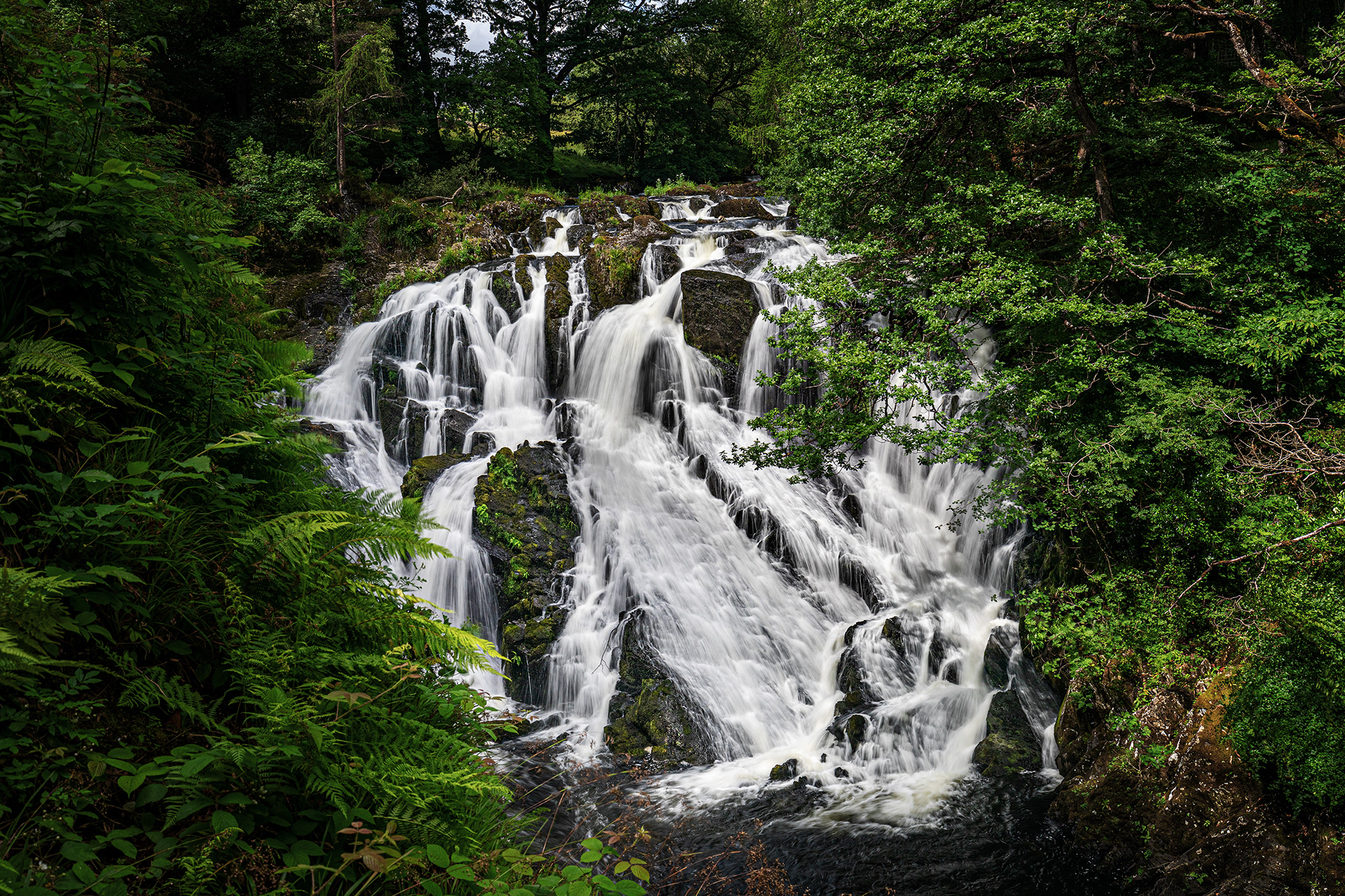 Swallow Falls