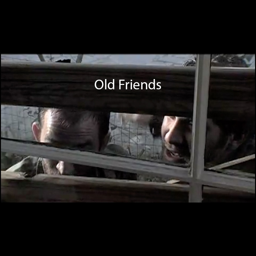 watch Old Friends
