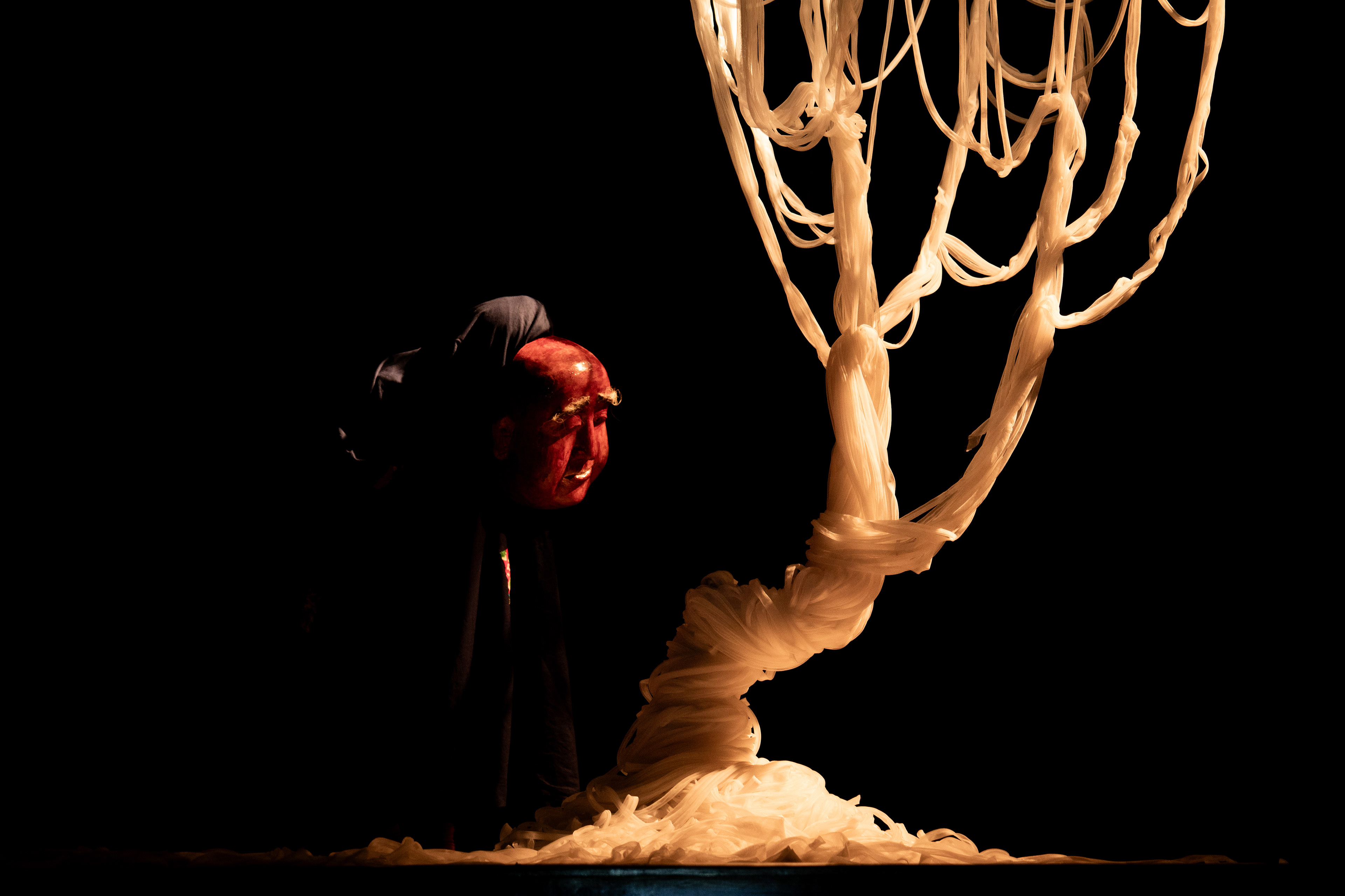 An Old Man standing next to a white tree